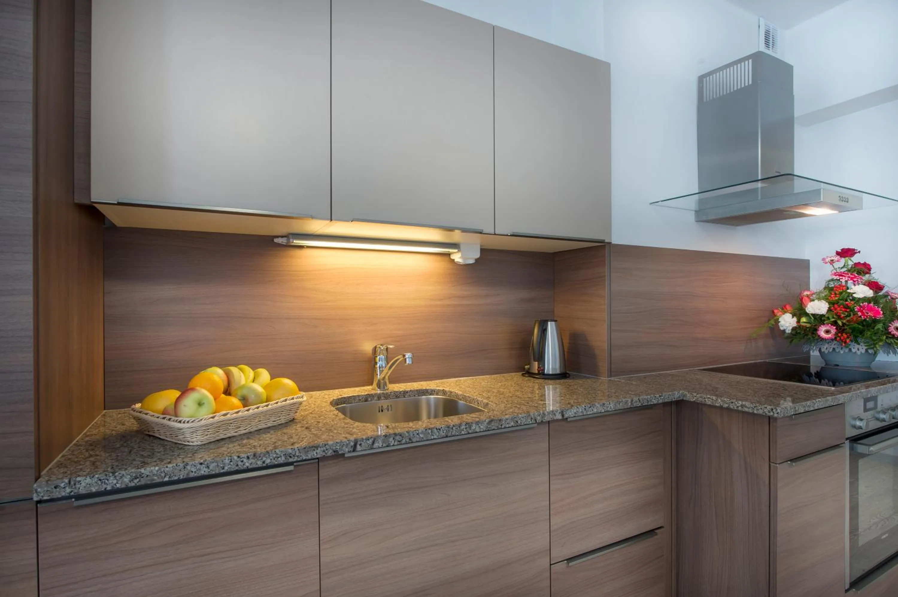 Kitchen or kitchenette in Aparthotel Baltic Spa