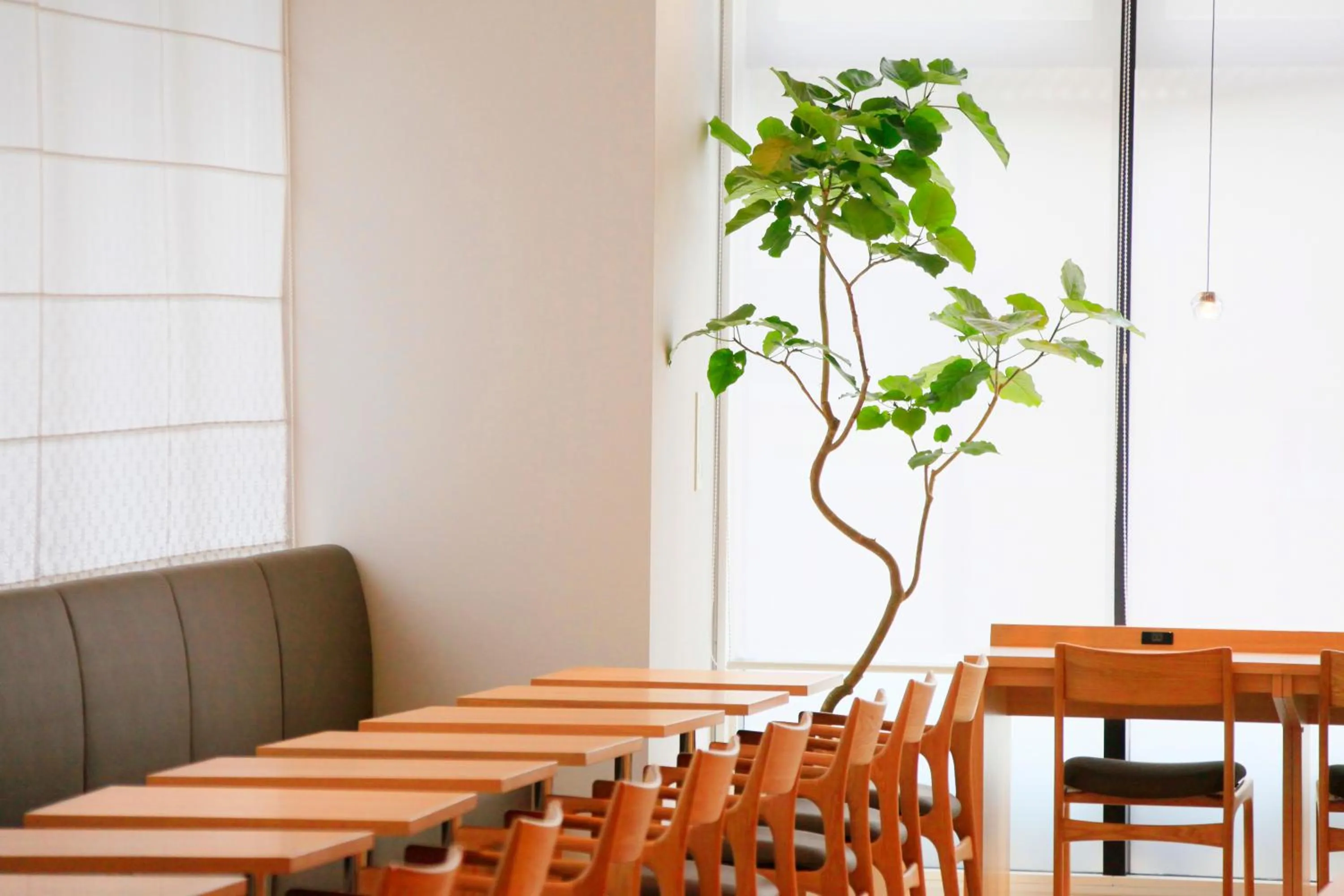 Restaurant/places to eat in Richmond Hotel Himeji