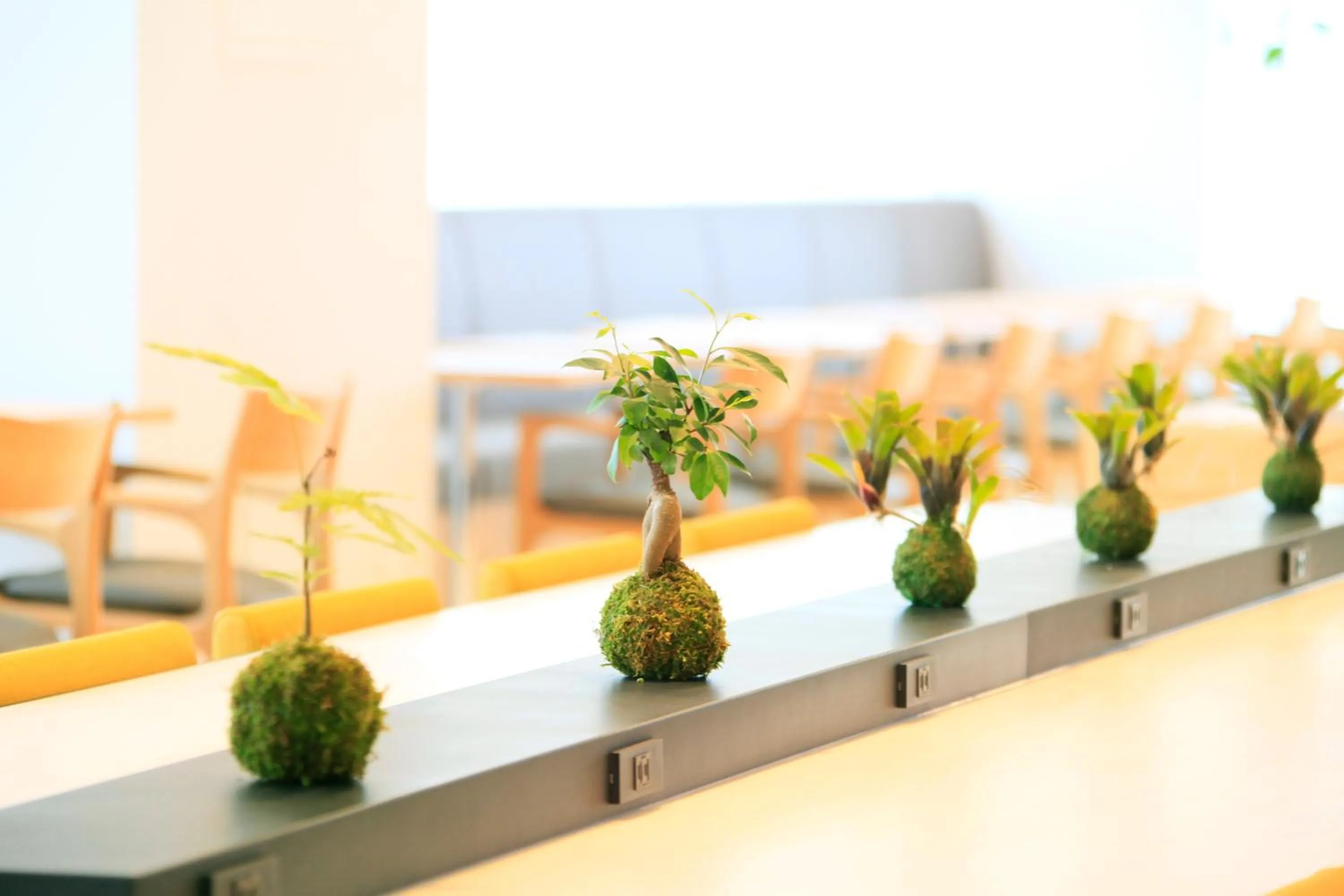 Restaurant/places to eat in Richmond Hotel Himeji