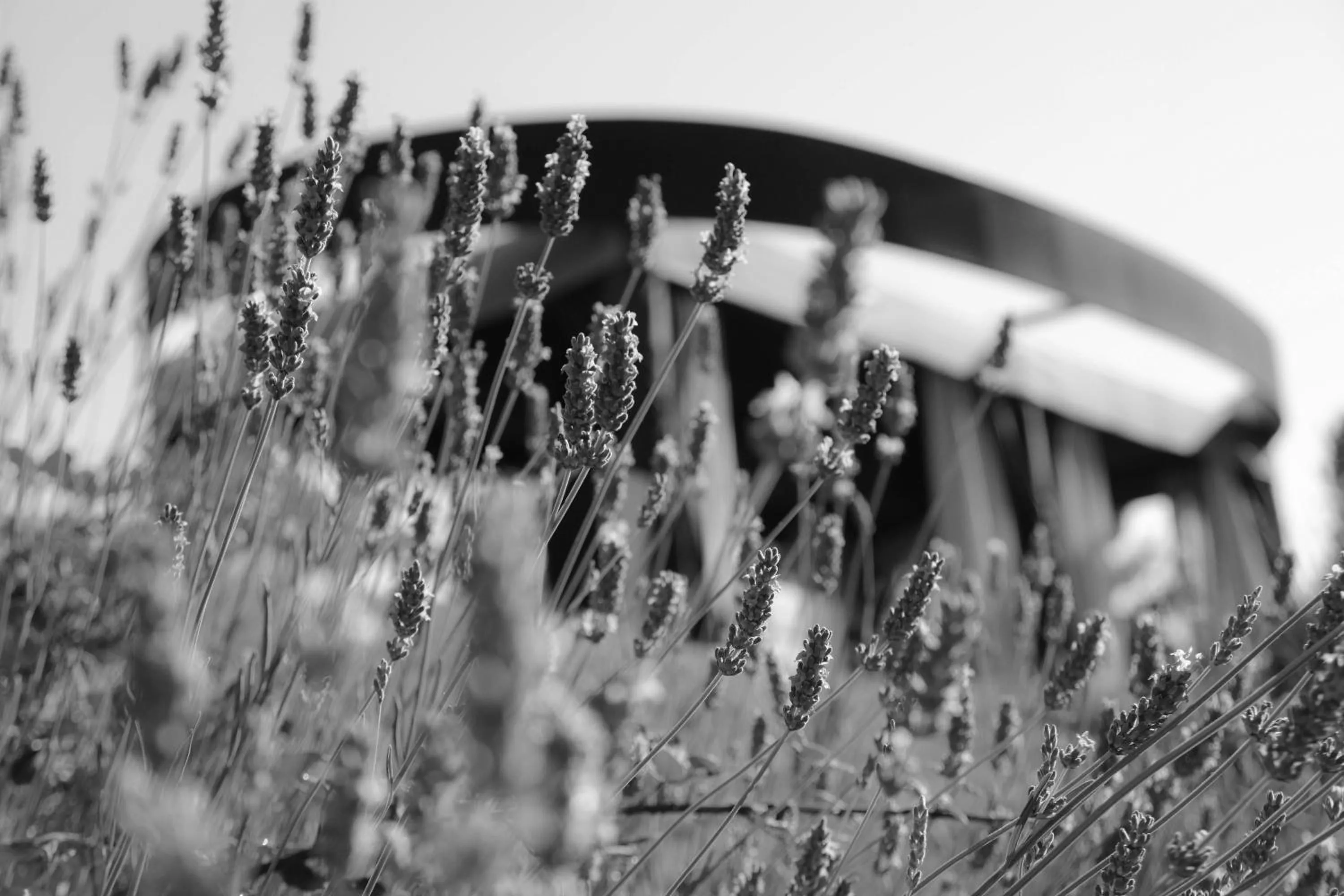 Lounge or bar in Boutique Hotel Valsabbion