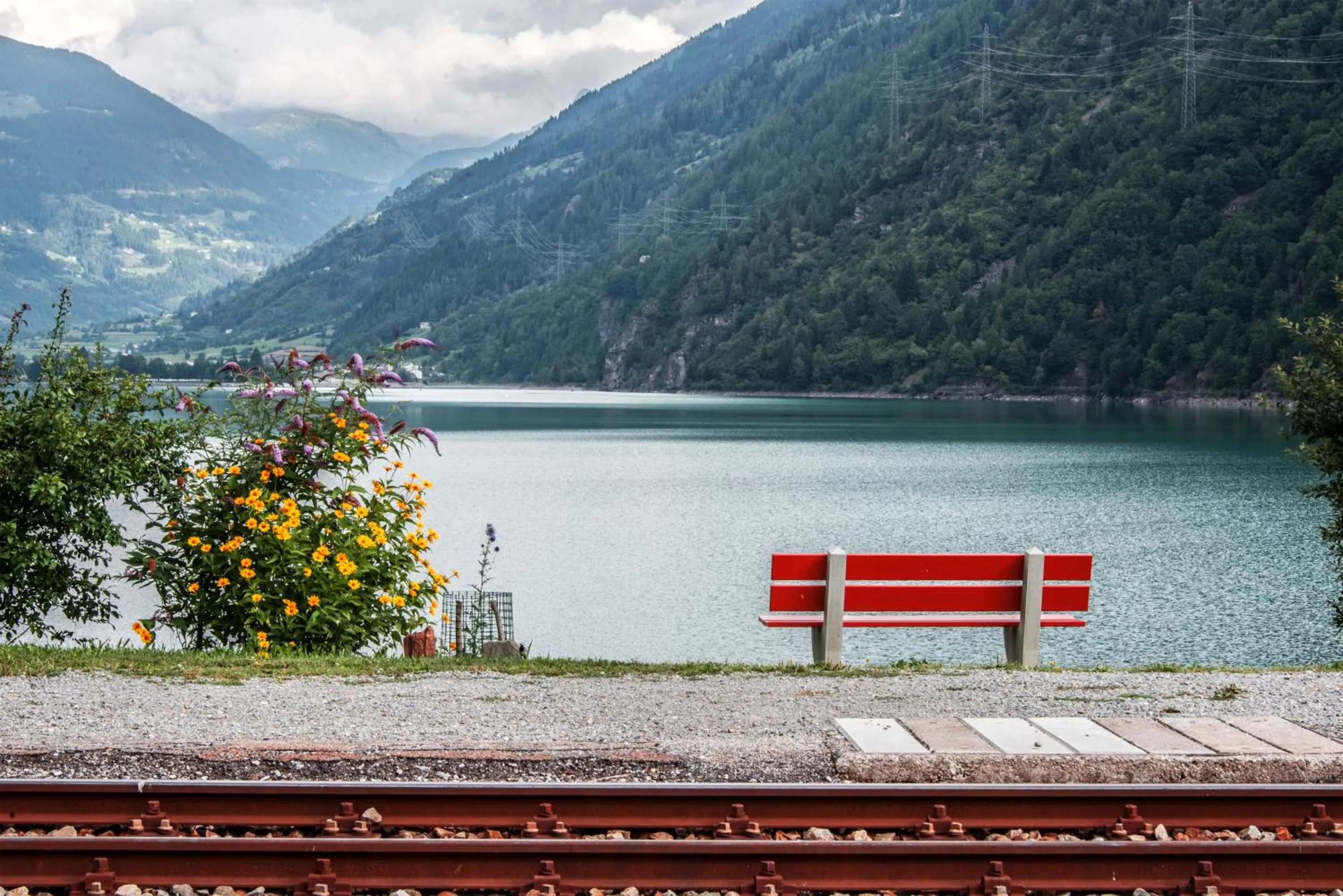 Natural landscape in Albergo Meublè Stelvio