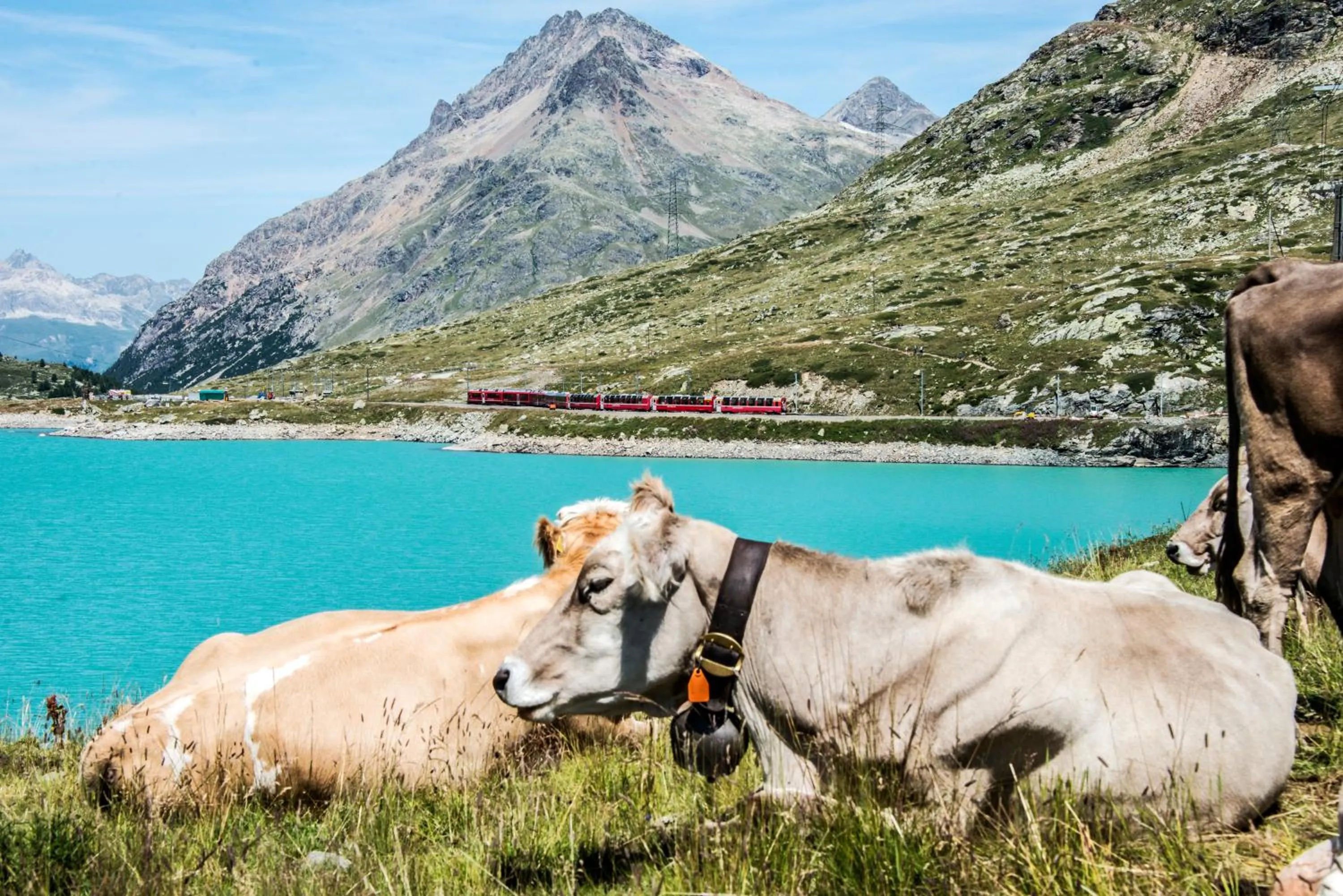 Day in Albergo Meublè Stelvio