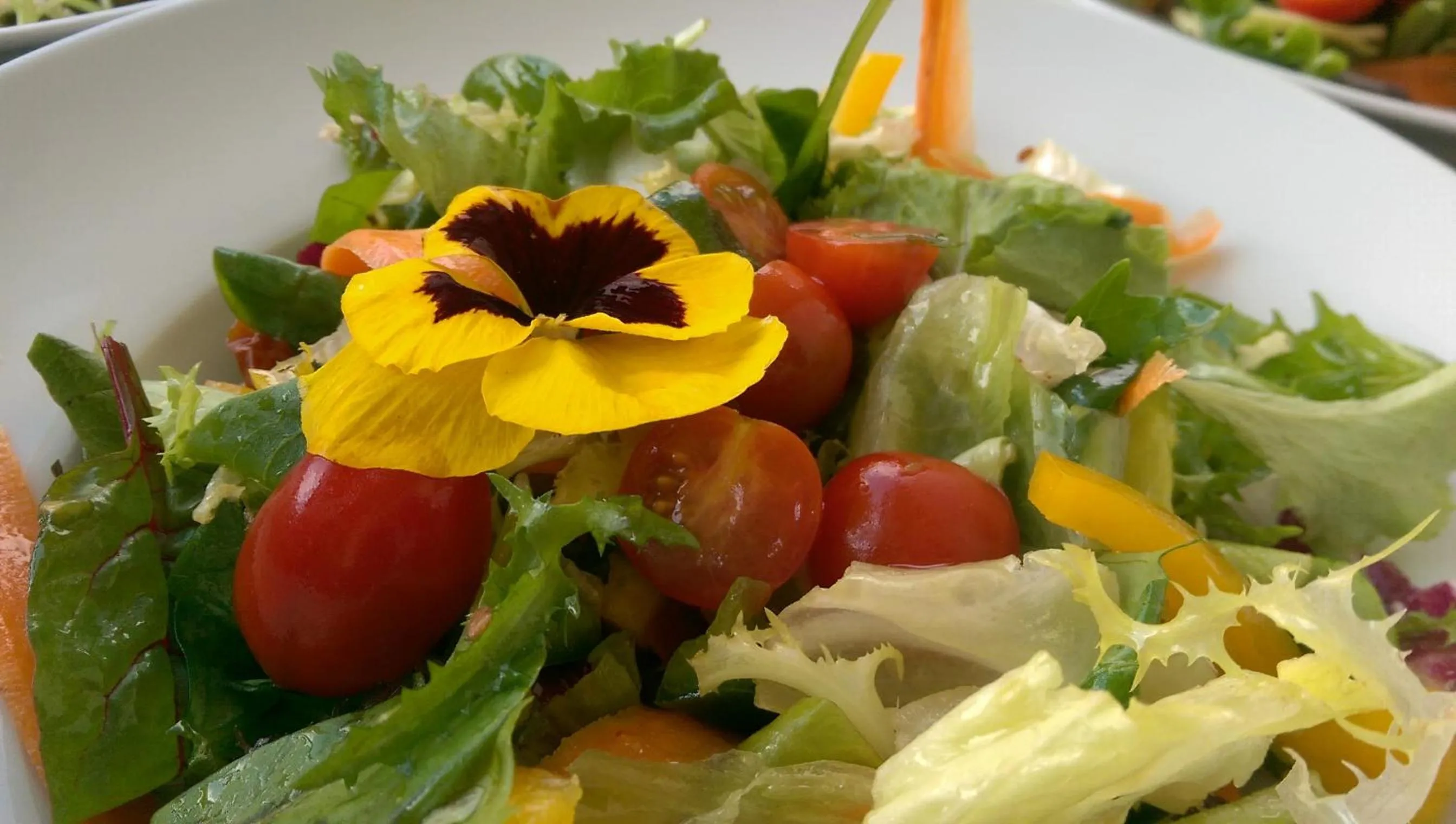 Food in Hotel Antoň