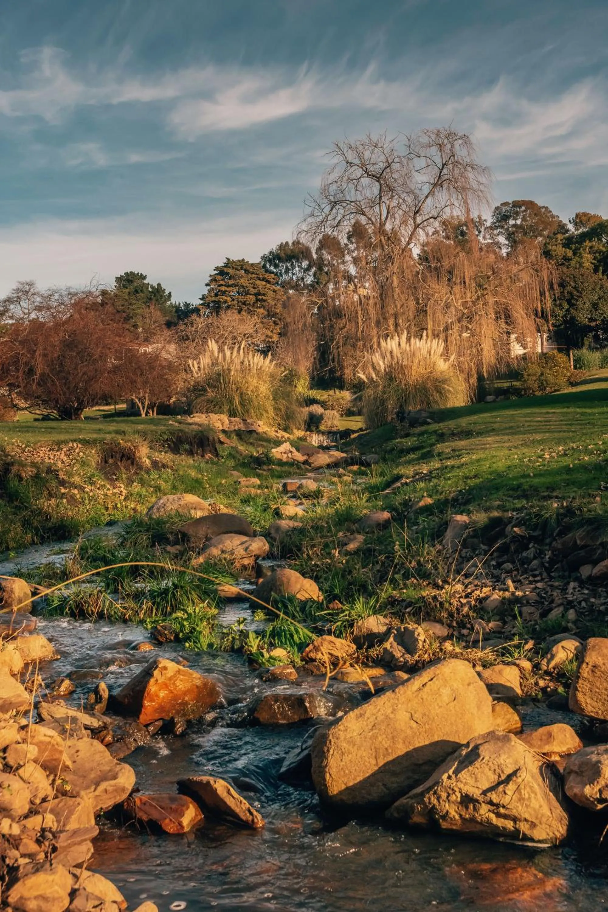 Natural landscape in Hostería & Spa De La Cascada