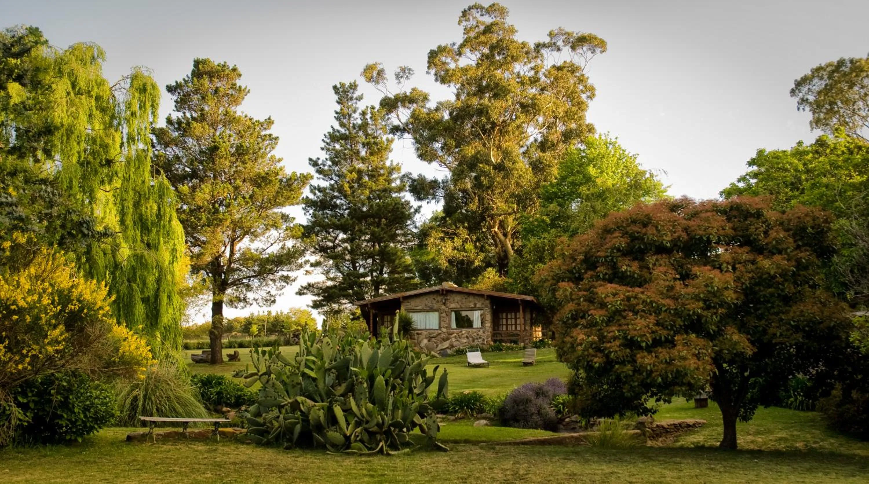 Natural landscape in Hostería & Spa De La Cascada