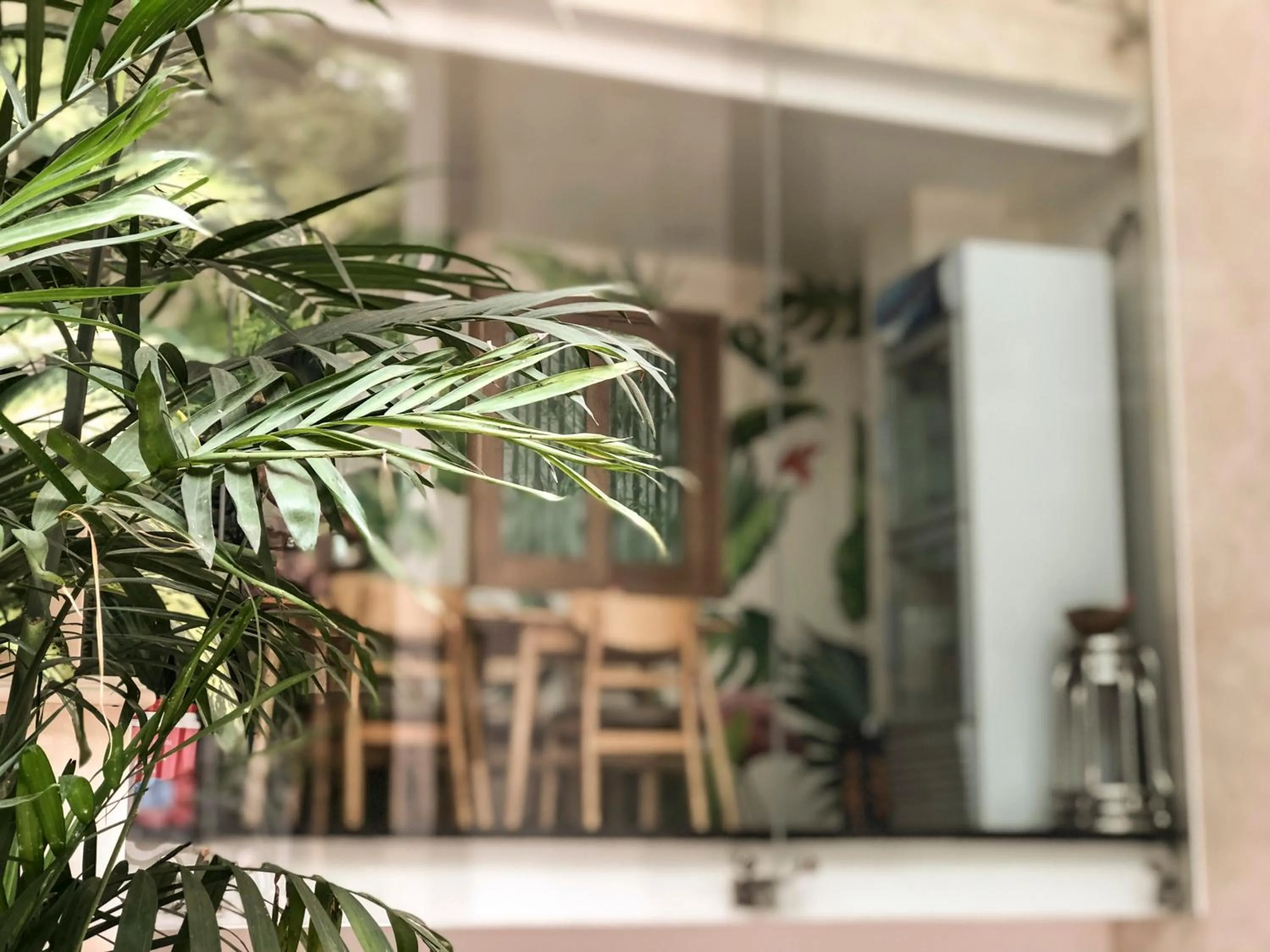 Property building in Tropical House