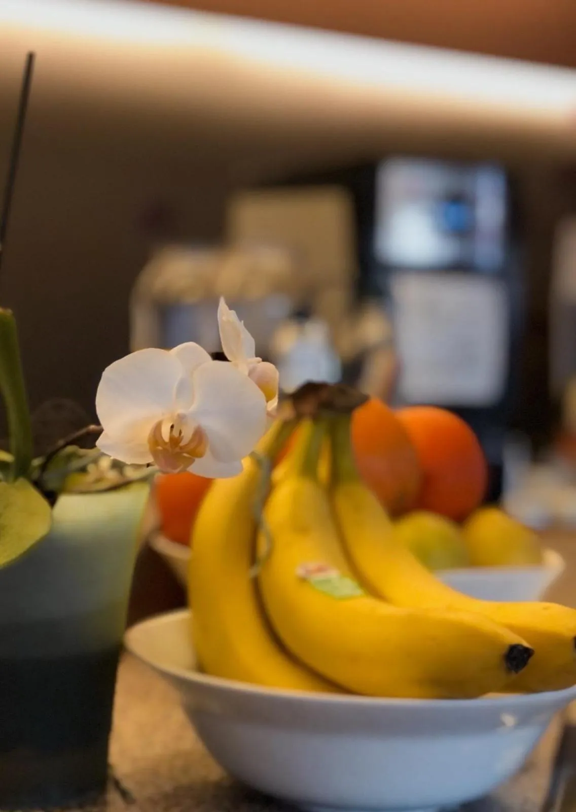 Kitchen or kitchenette in Hotel Concorde