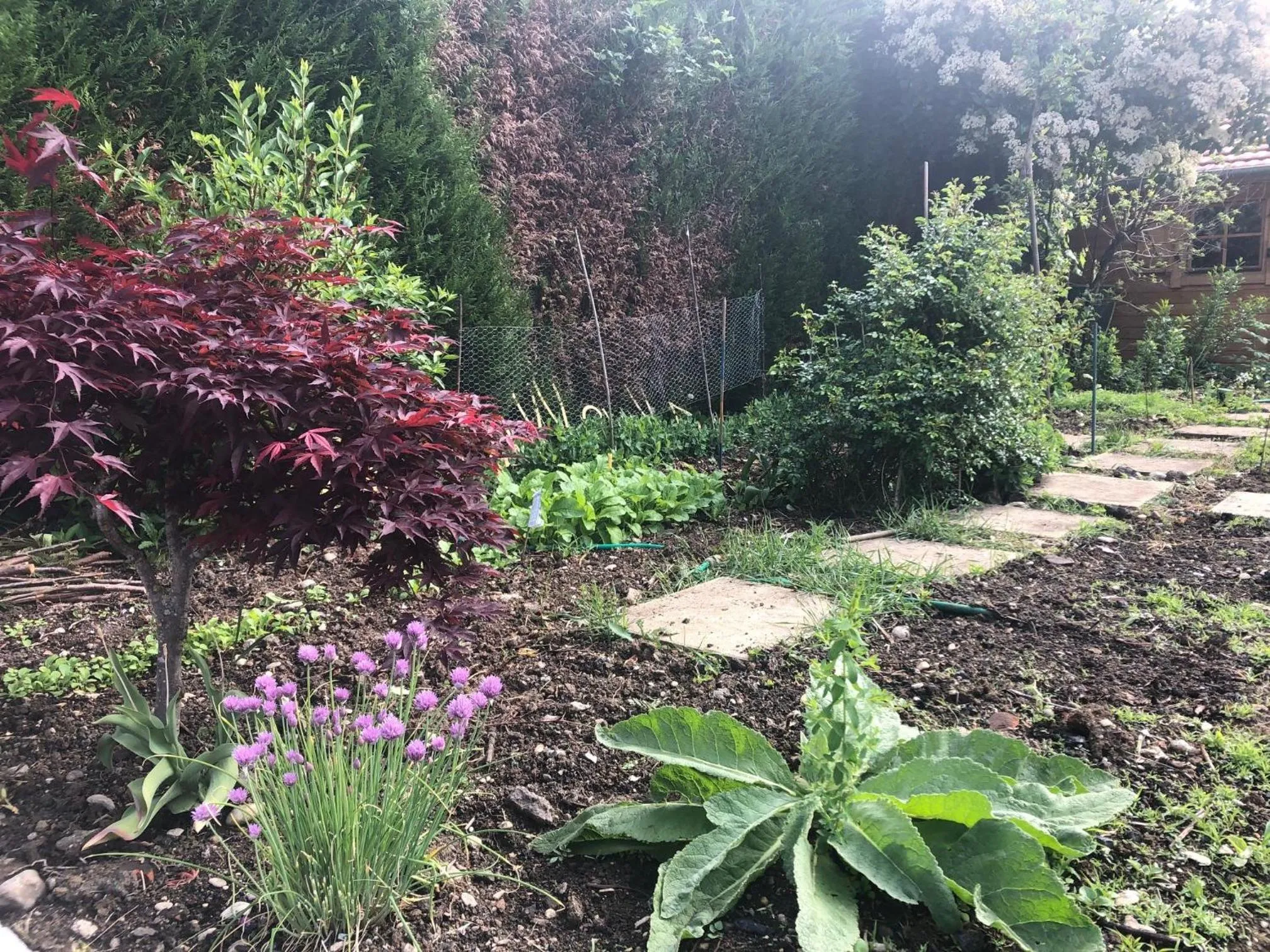 Natural landscape in Les Tilleuls Montbeliard Sud Audincourt