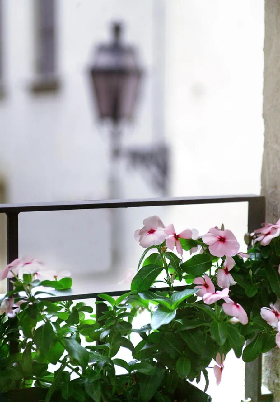 View (from property/room) in Residenza San Faustino