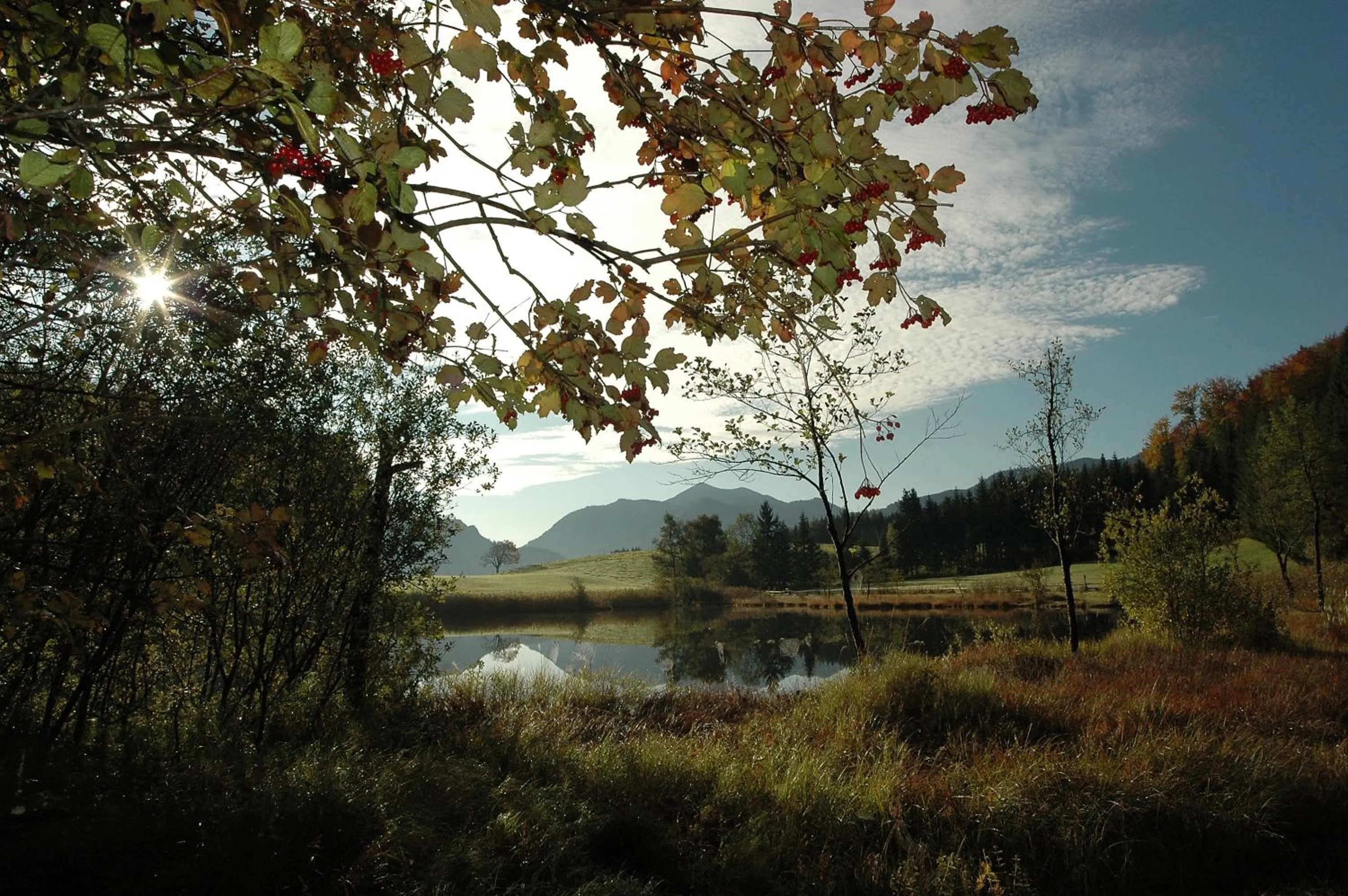 Natural landscape in Ferienhof Margarethengut