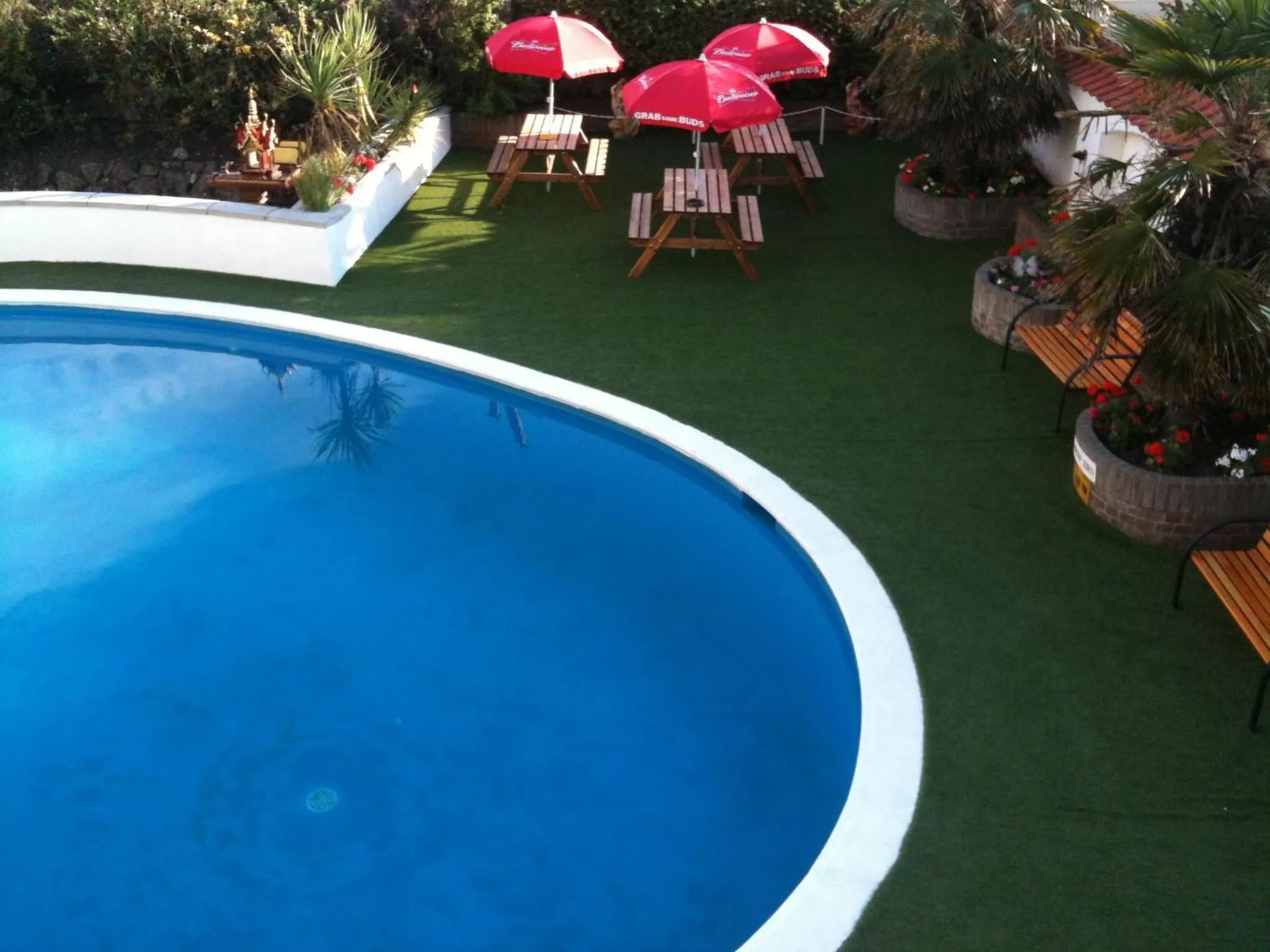 Garden in Hotel Victoria