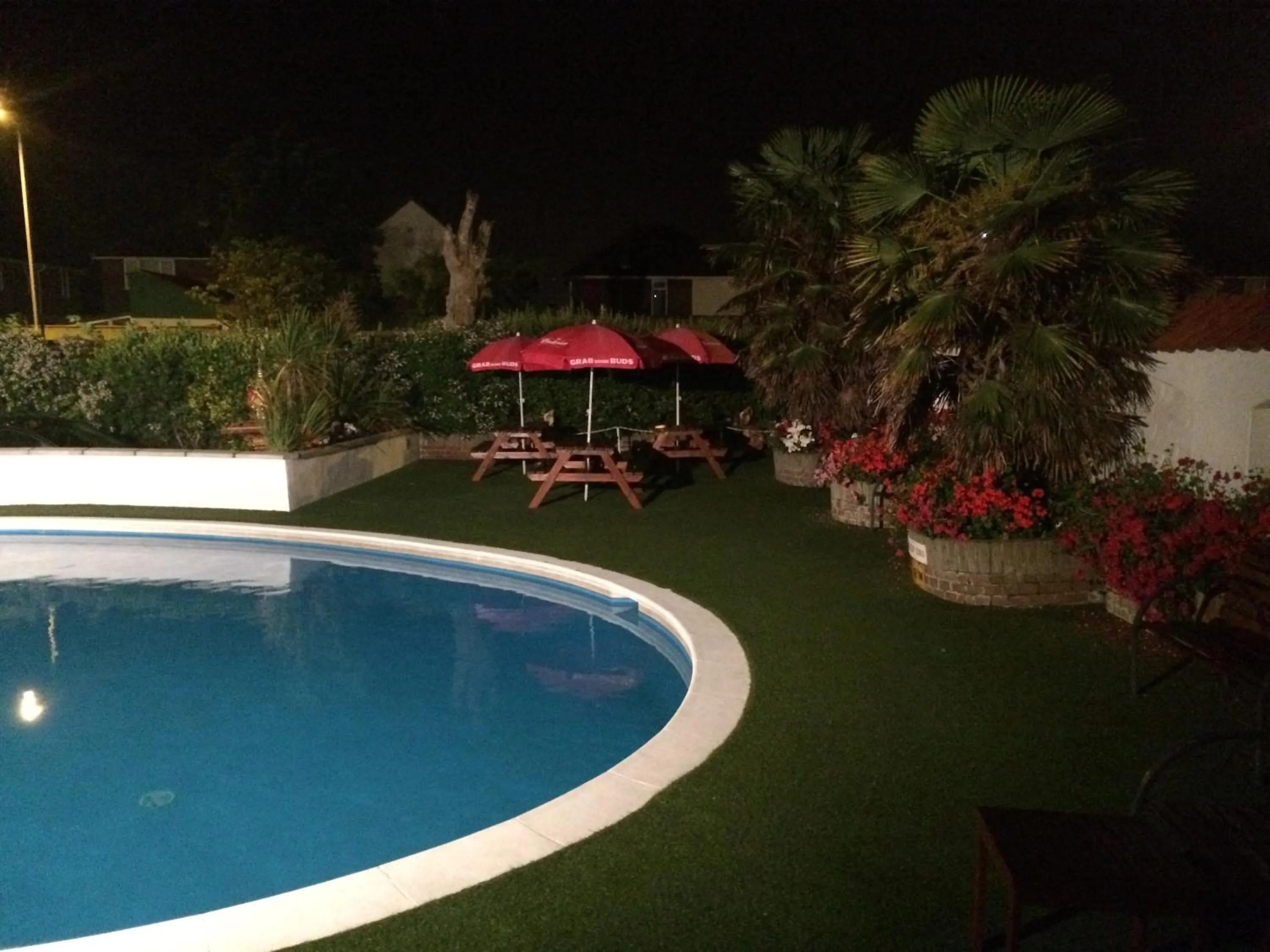 Garden in Hotel Victoria