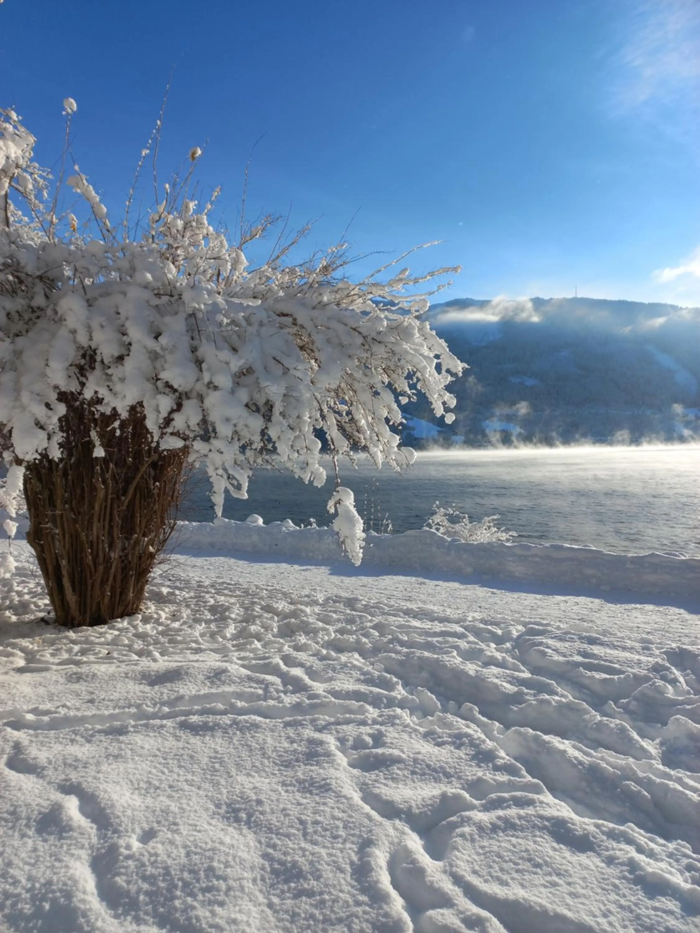 Natural landscape in Hotel Pension Hubertus