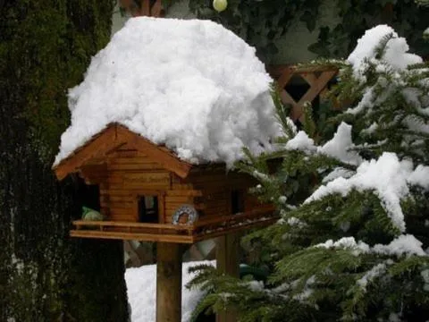 Garden in Hotel & Hostel Sandwirt