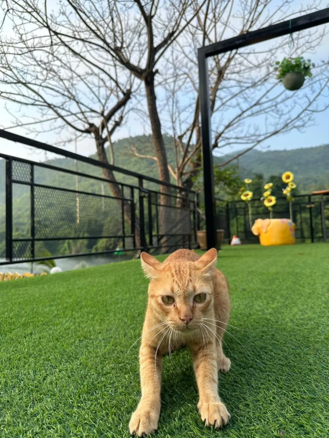 ชอว์ งาทอง รีสอร์ต Chor Ngar Thong Erawan Kanchanaburi