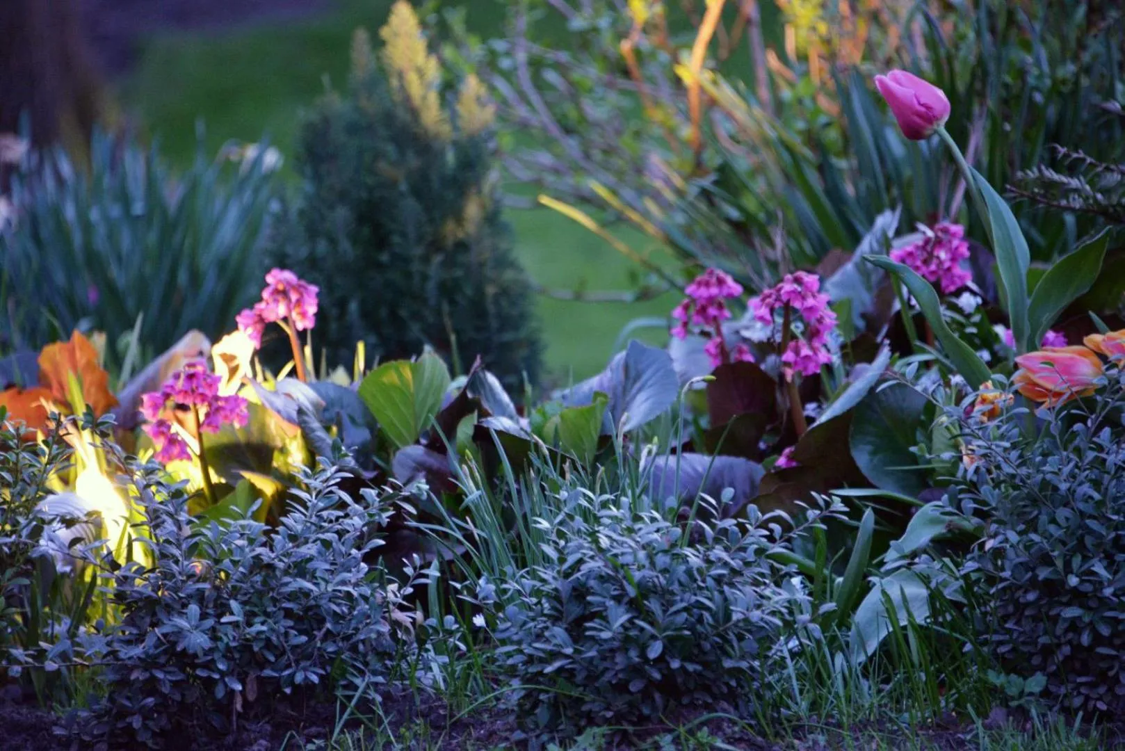 Property building in Notarishuis Beveren B&B