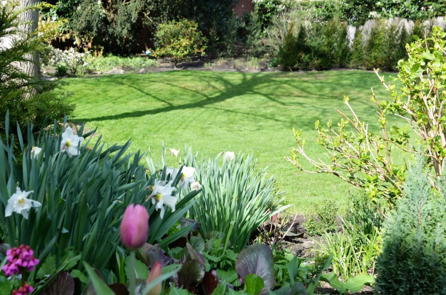 Property building in Notarishuis Beveren B&B