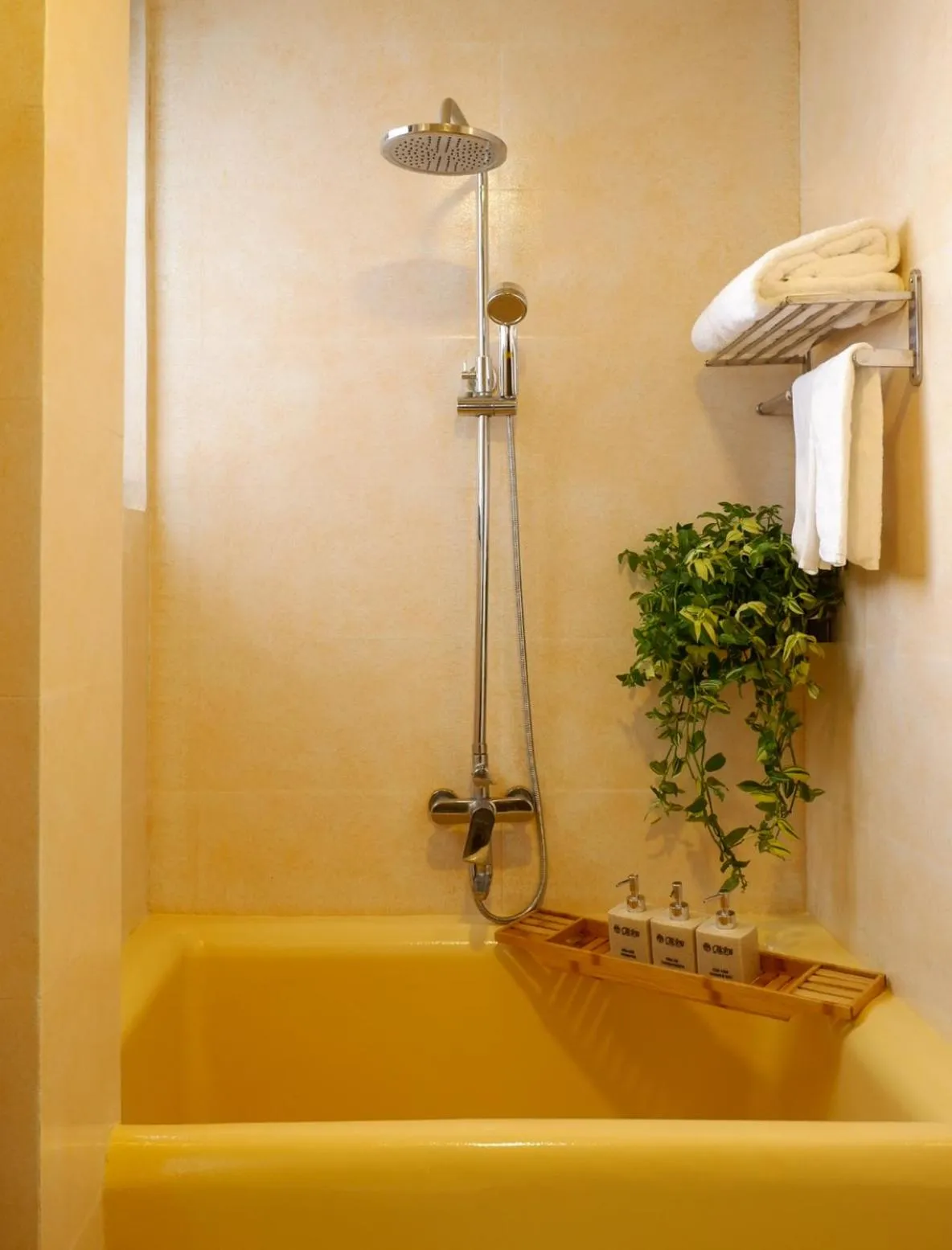 Shower in Tasme Hotel