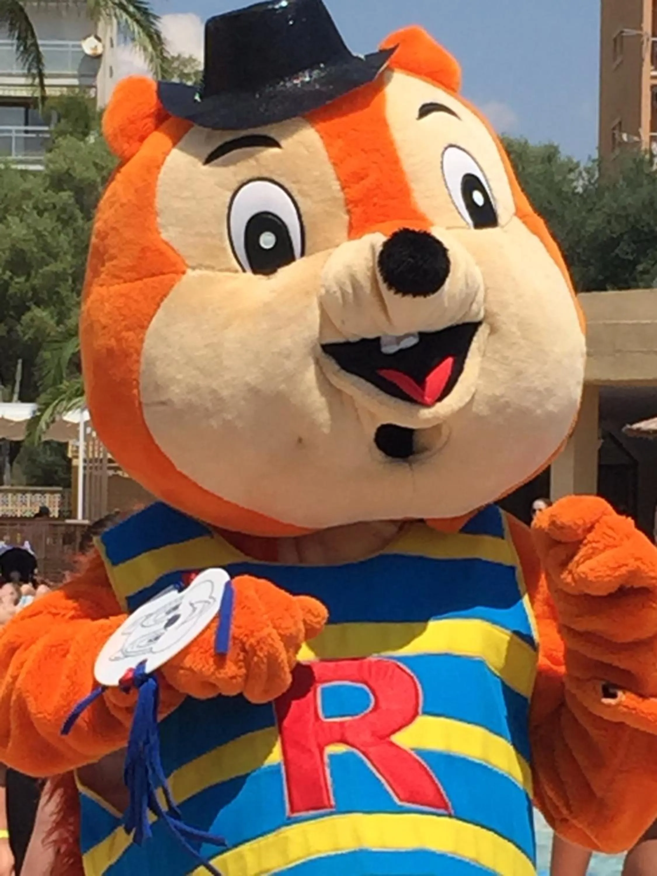 Pets in Hotel Club Cala Romani