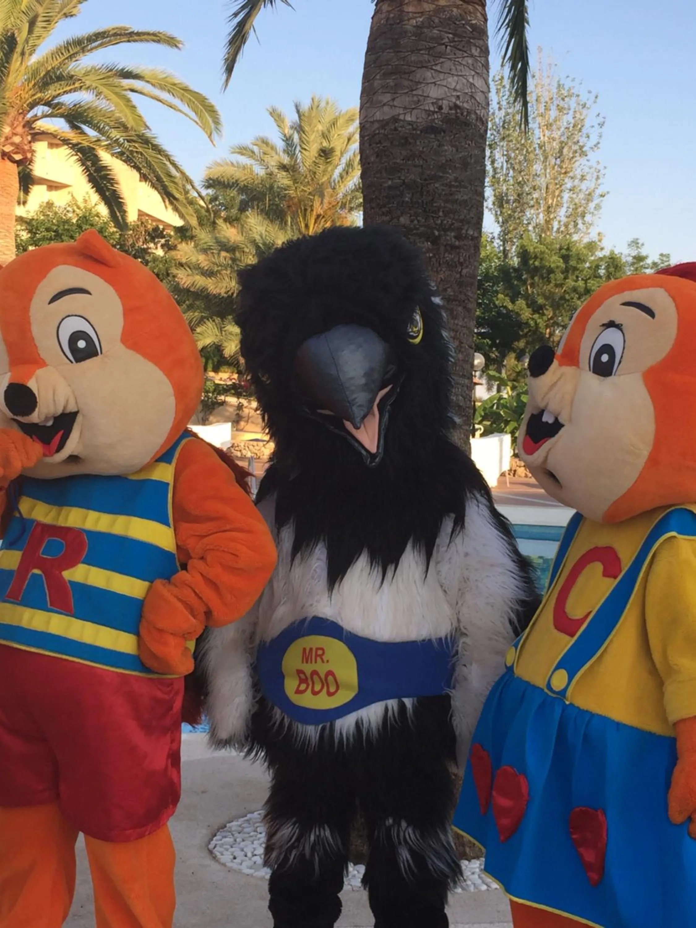 Pets in Hotel Club Cala Romani