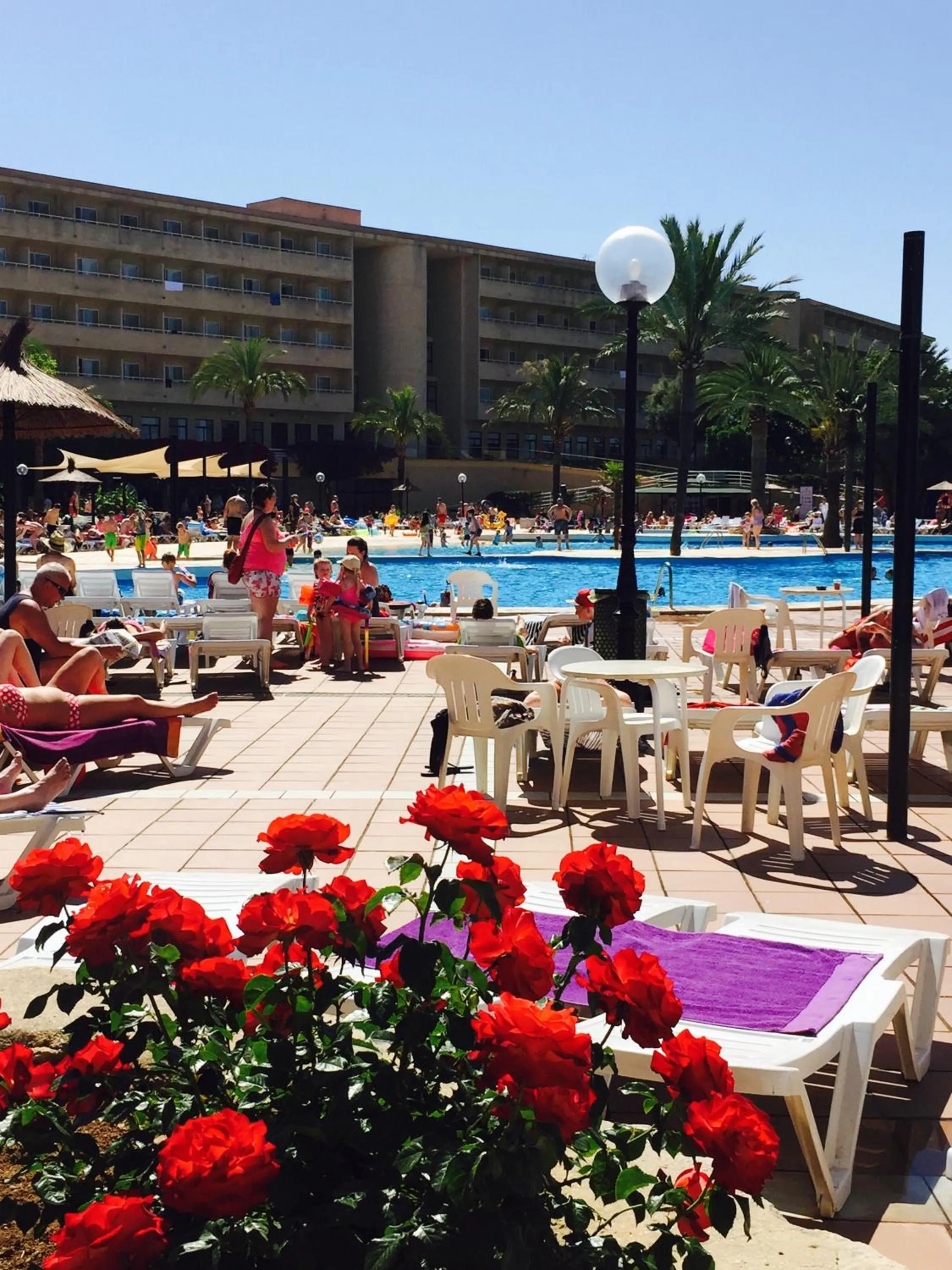 Swimming pool in Hotel Club Cala Romani