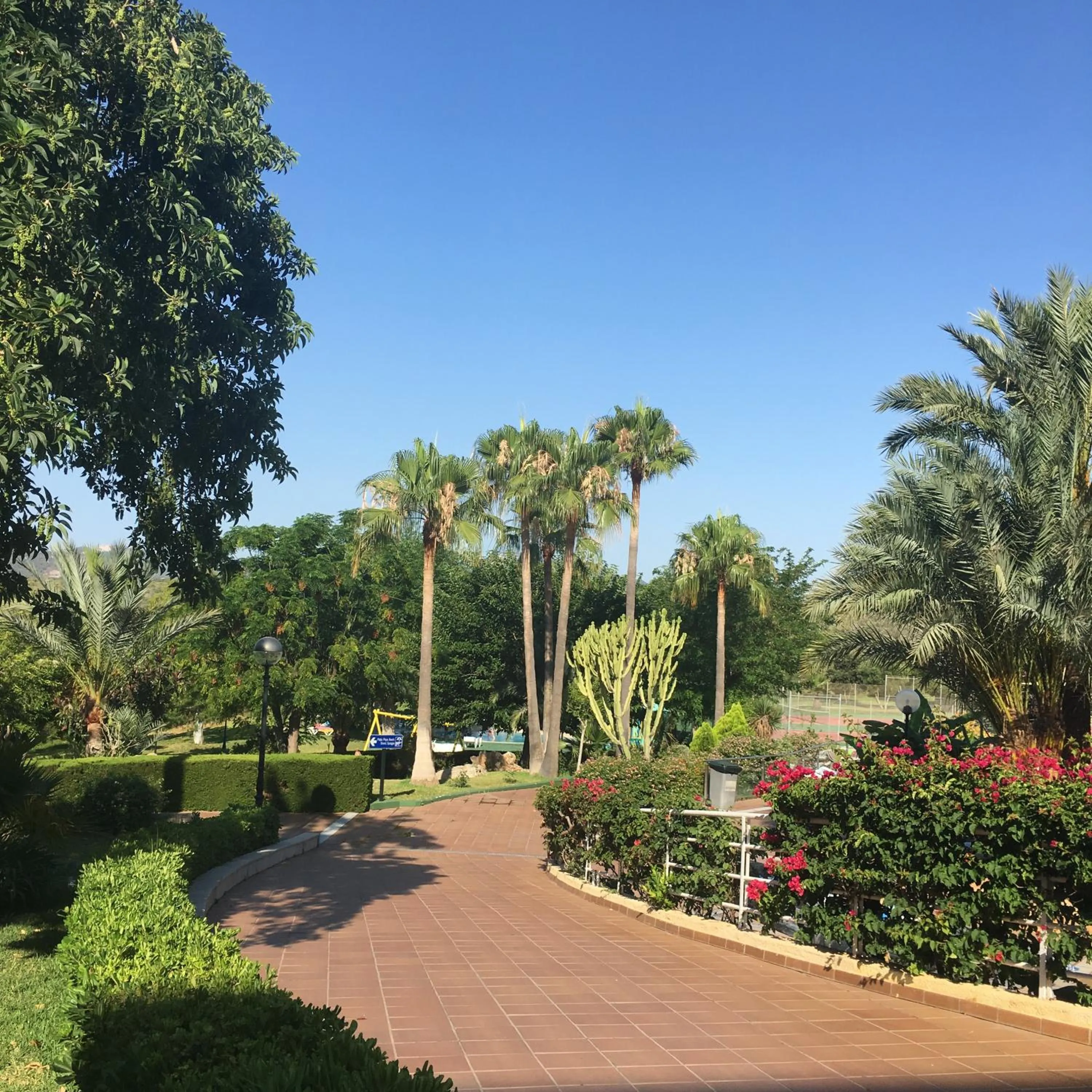 Garden in Hotel Club Cala Romani