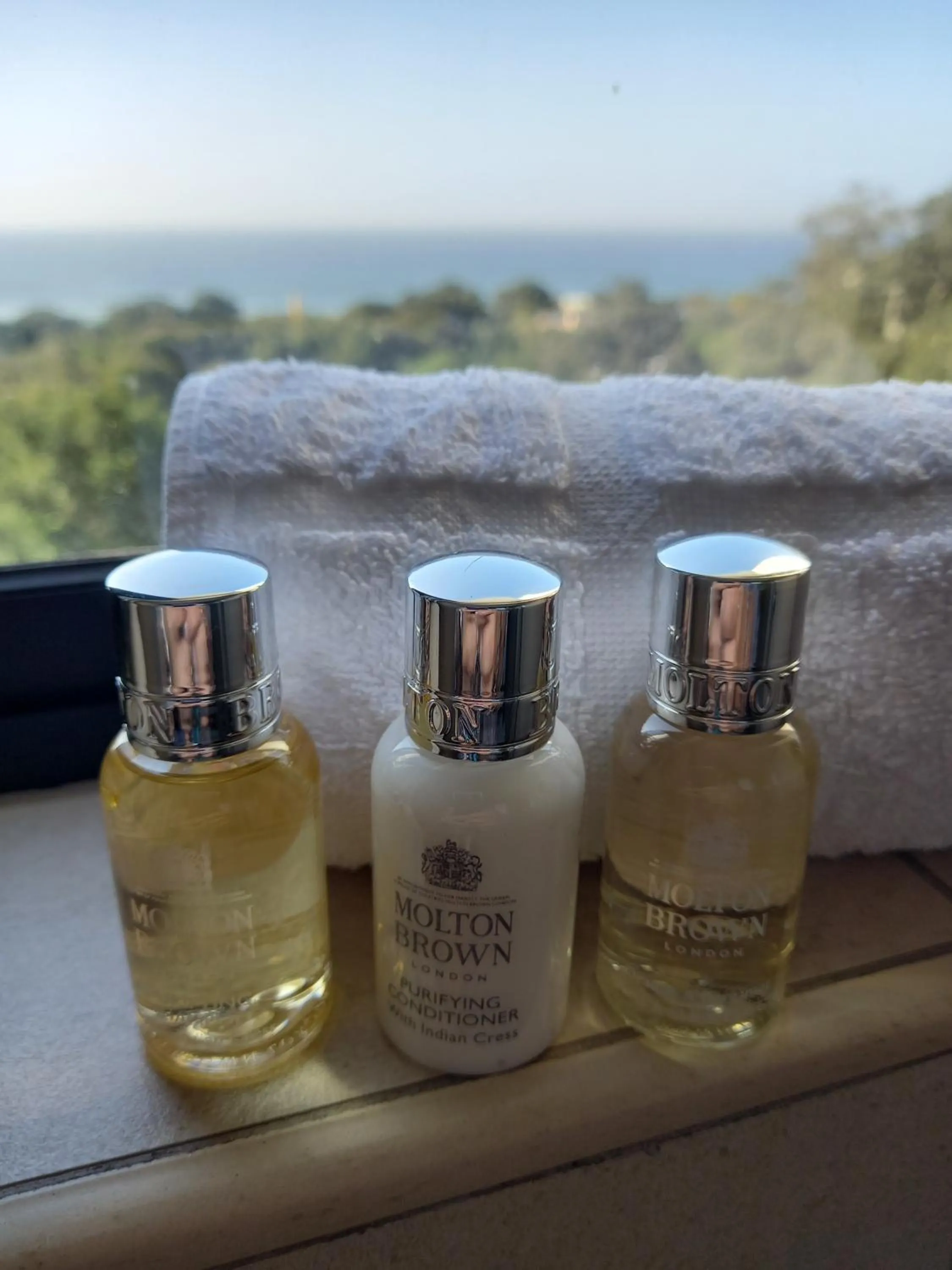 Day in Ocean Vista Boutique Guest House