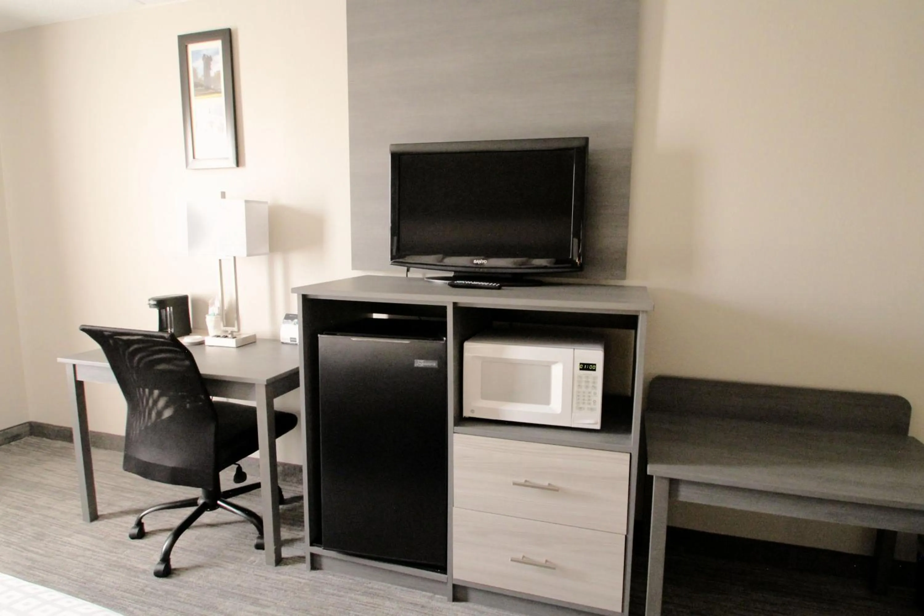 TV and multimedia in Baymont by Wyndham Lafayette - Purdue University