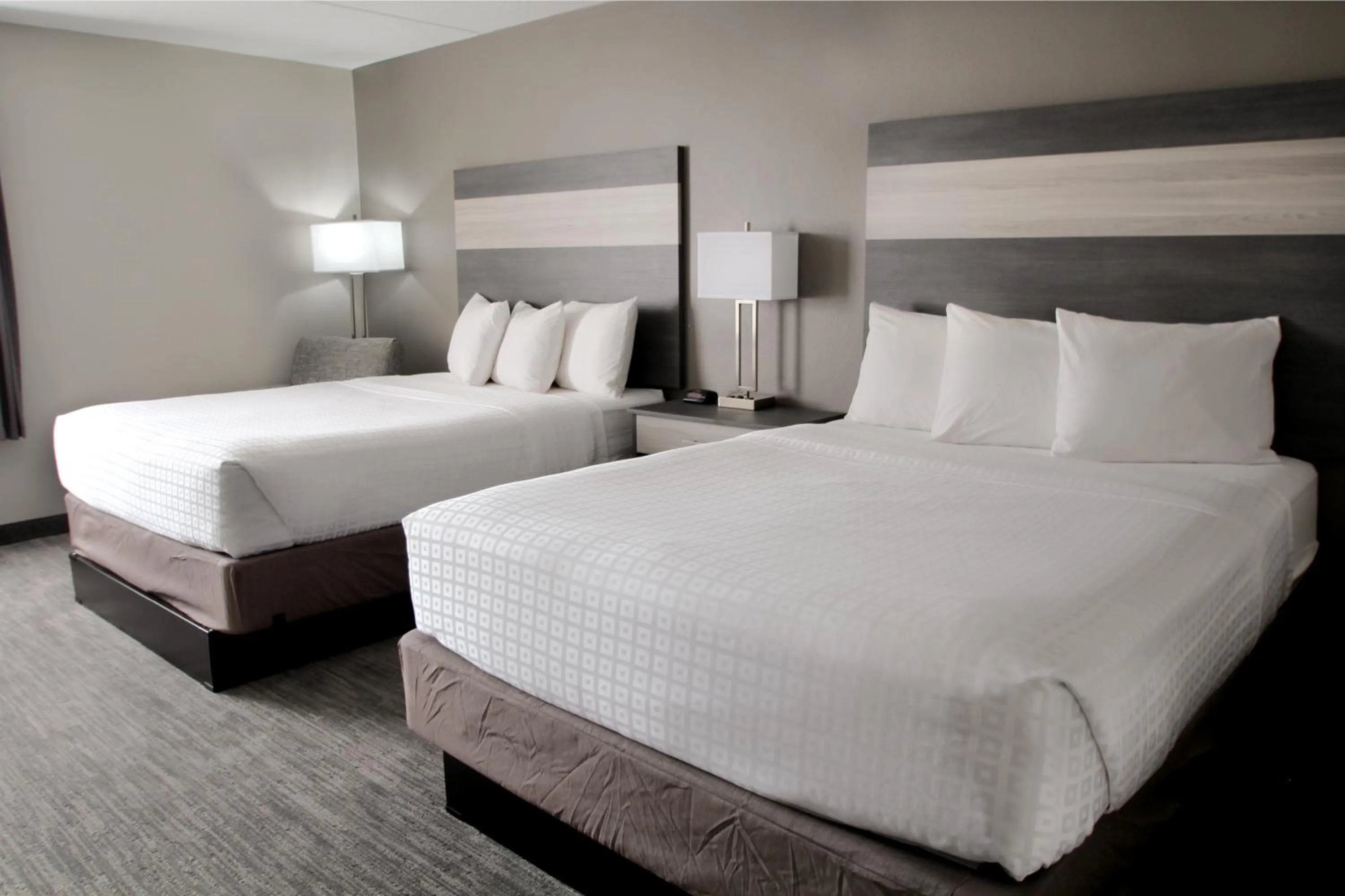 Bed in Baymont by Wyndham Lafayette - Purdue University