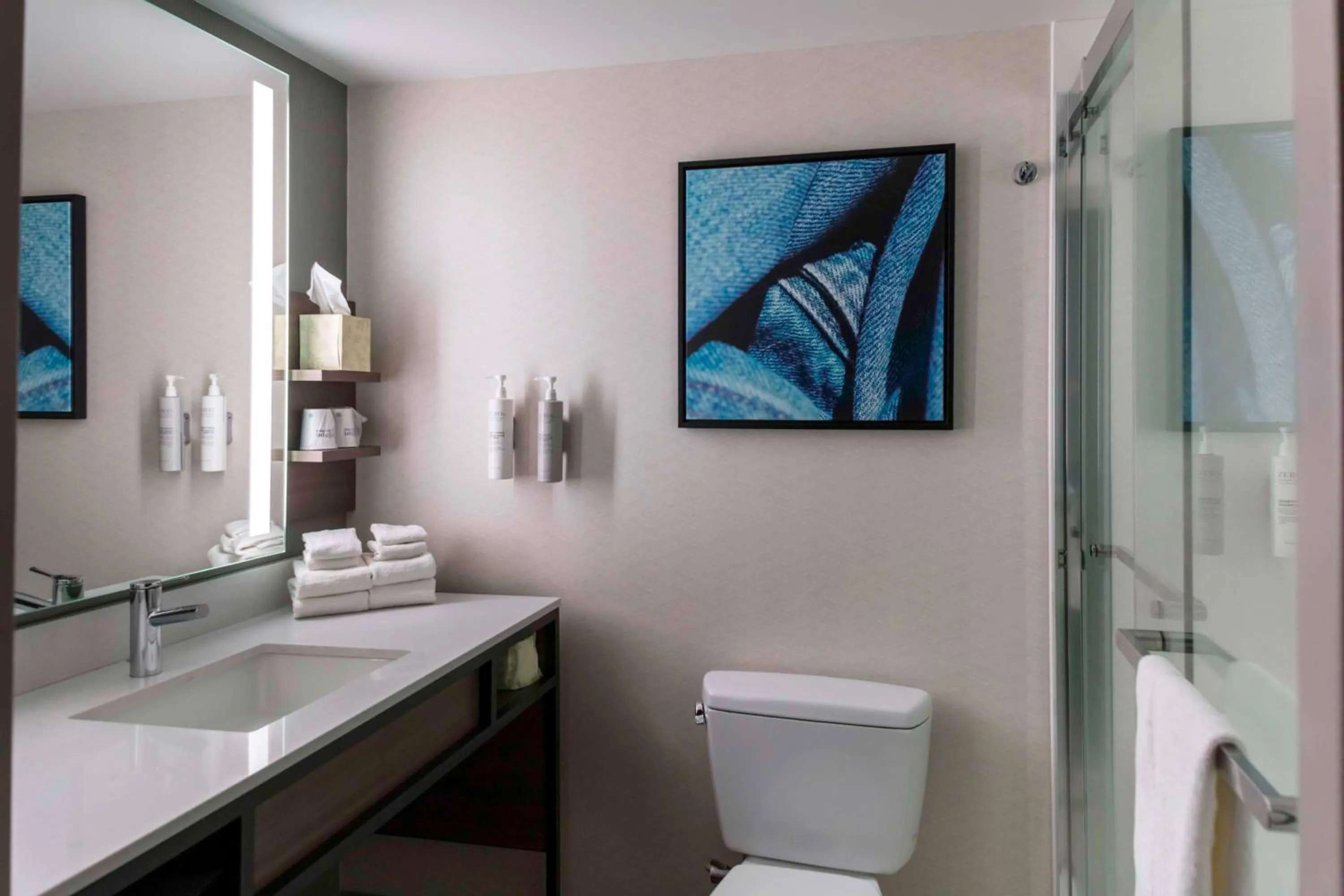 Bathroom in Hilton Garden Inn Roanoke Rapids