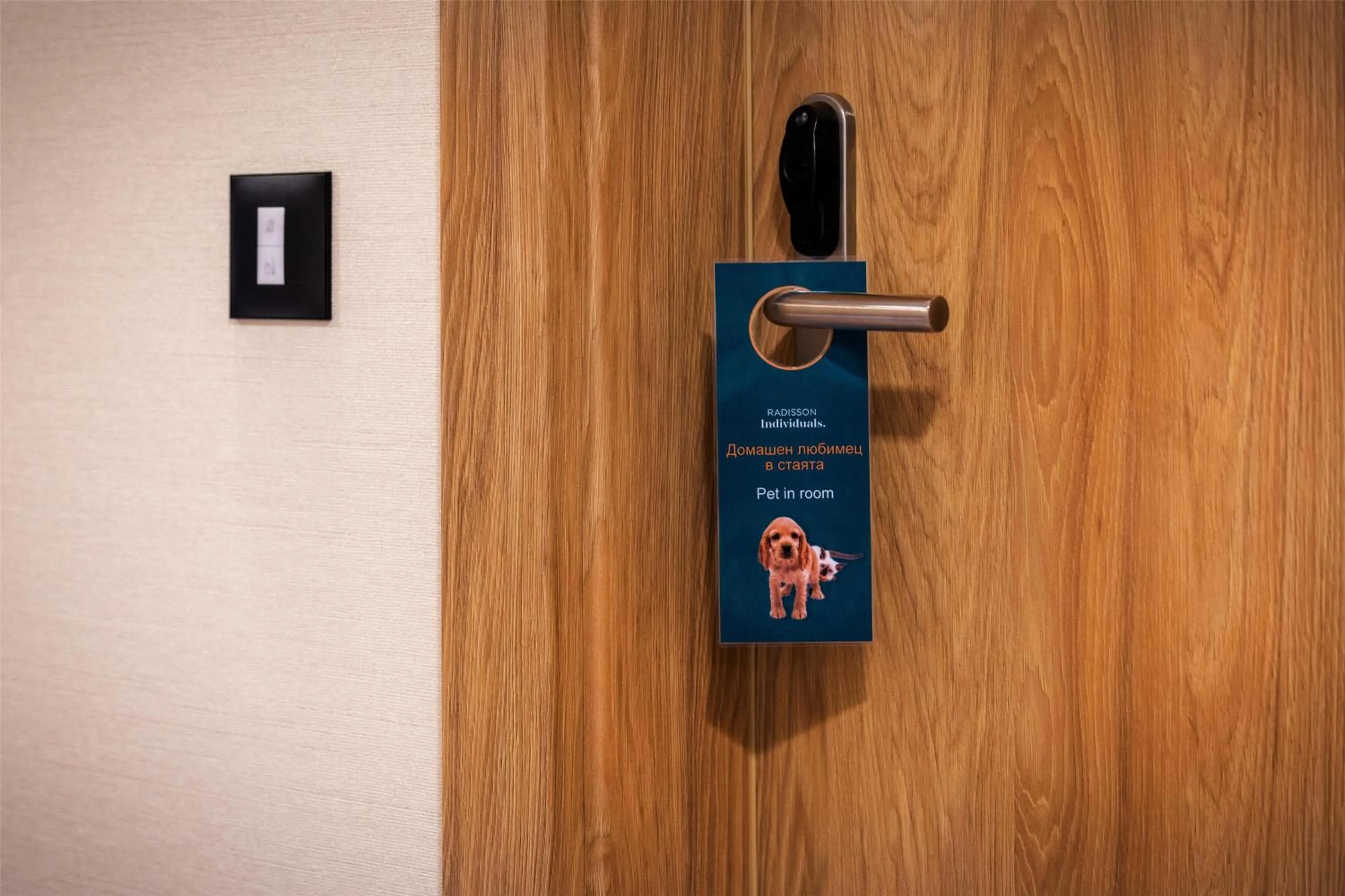 Other in Metropolitan Hotel Sofia, a member of Radisson Individuals