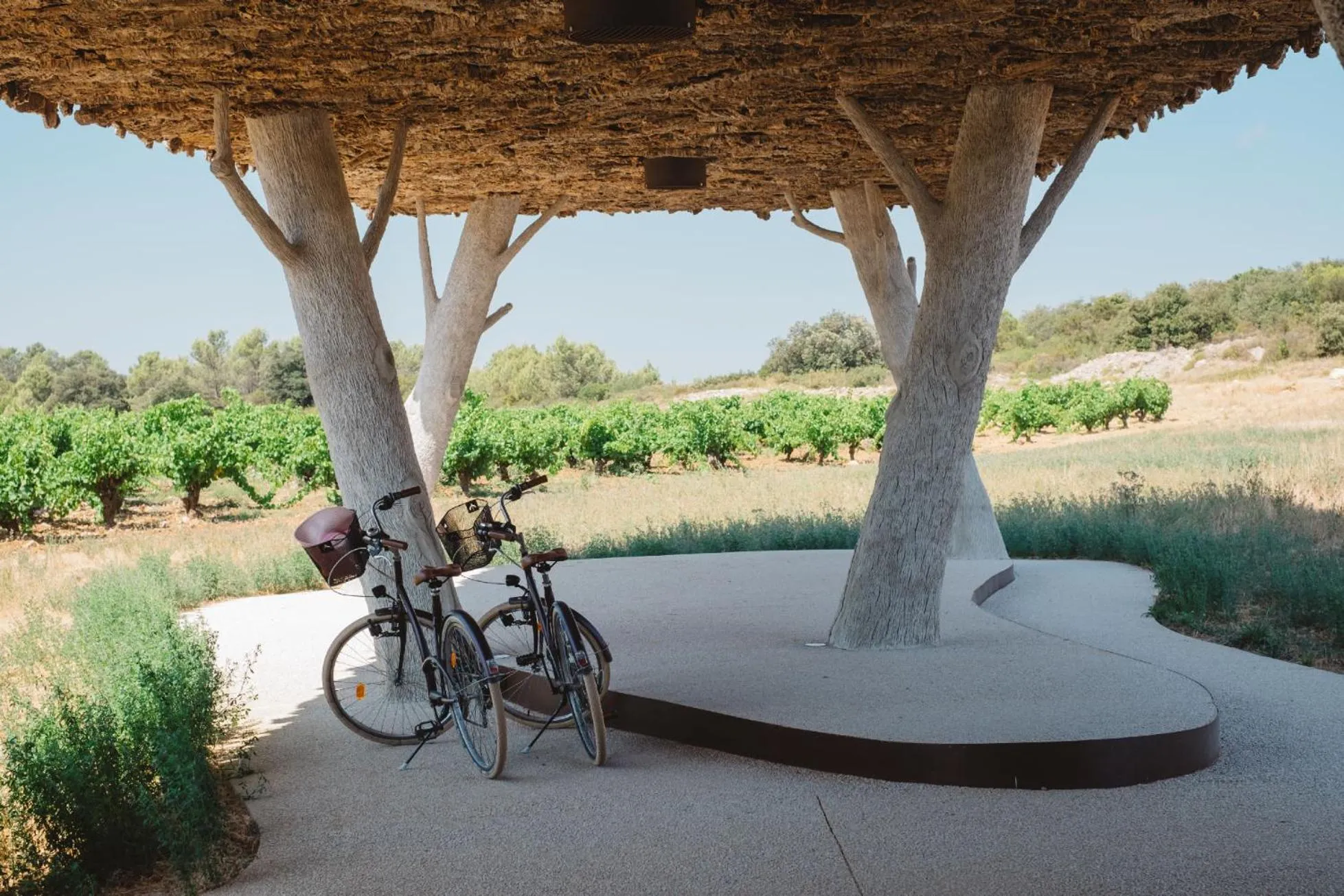 Garden in Village Castigno - Wine Hotel & Resort