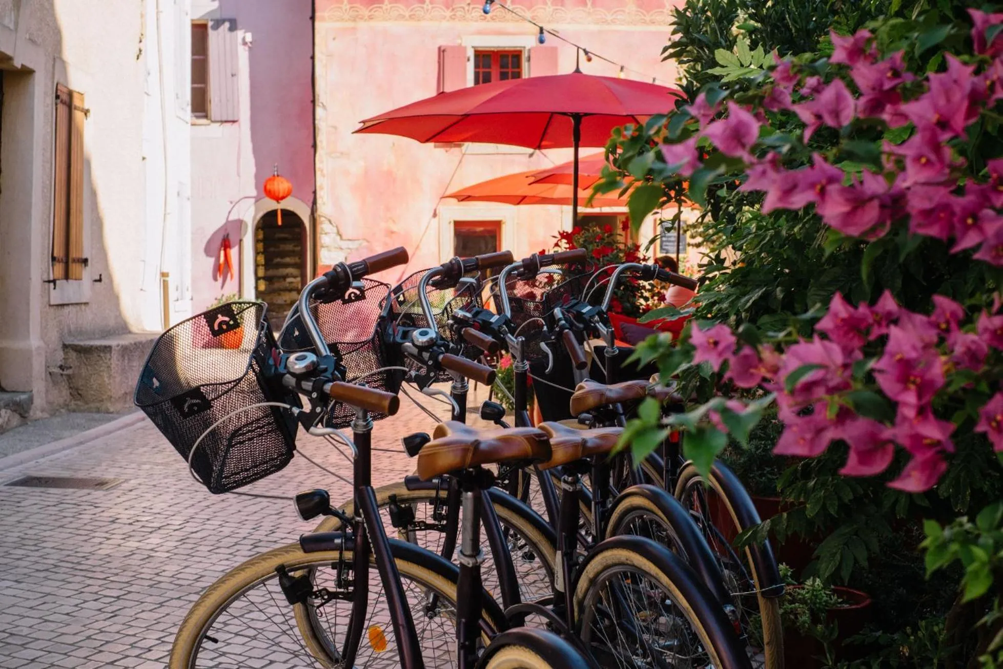 Cycling in Village Castigno - Wine Hotel & Resort