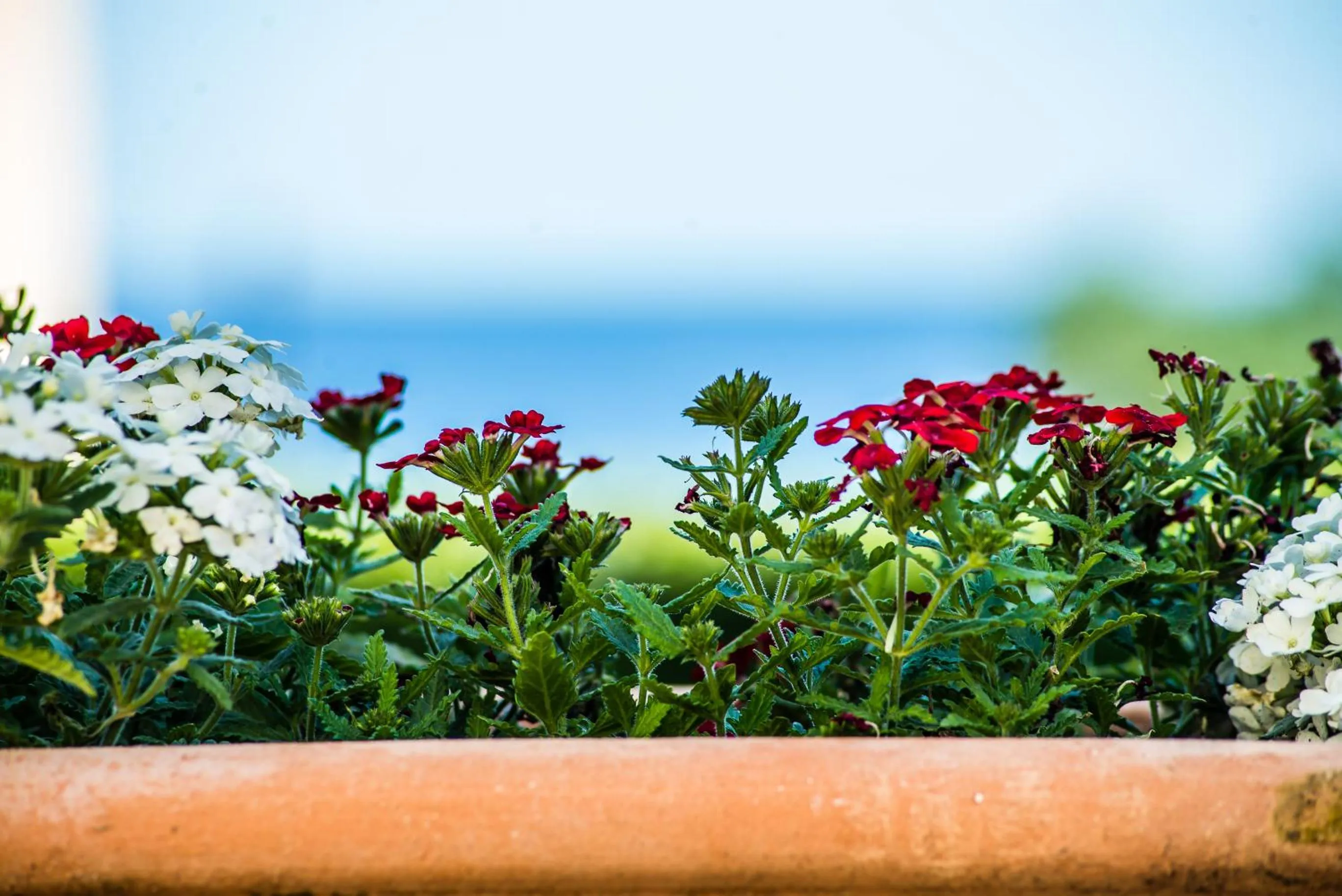 Decorative detail in Amboula Beach Apartments