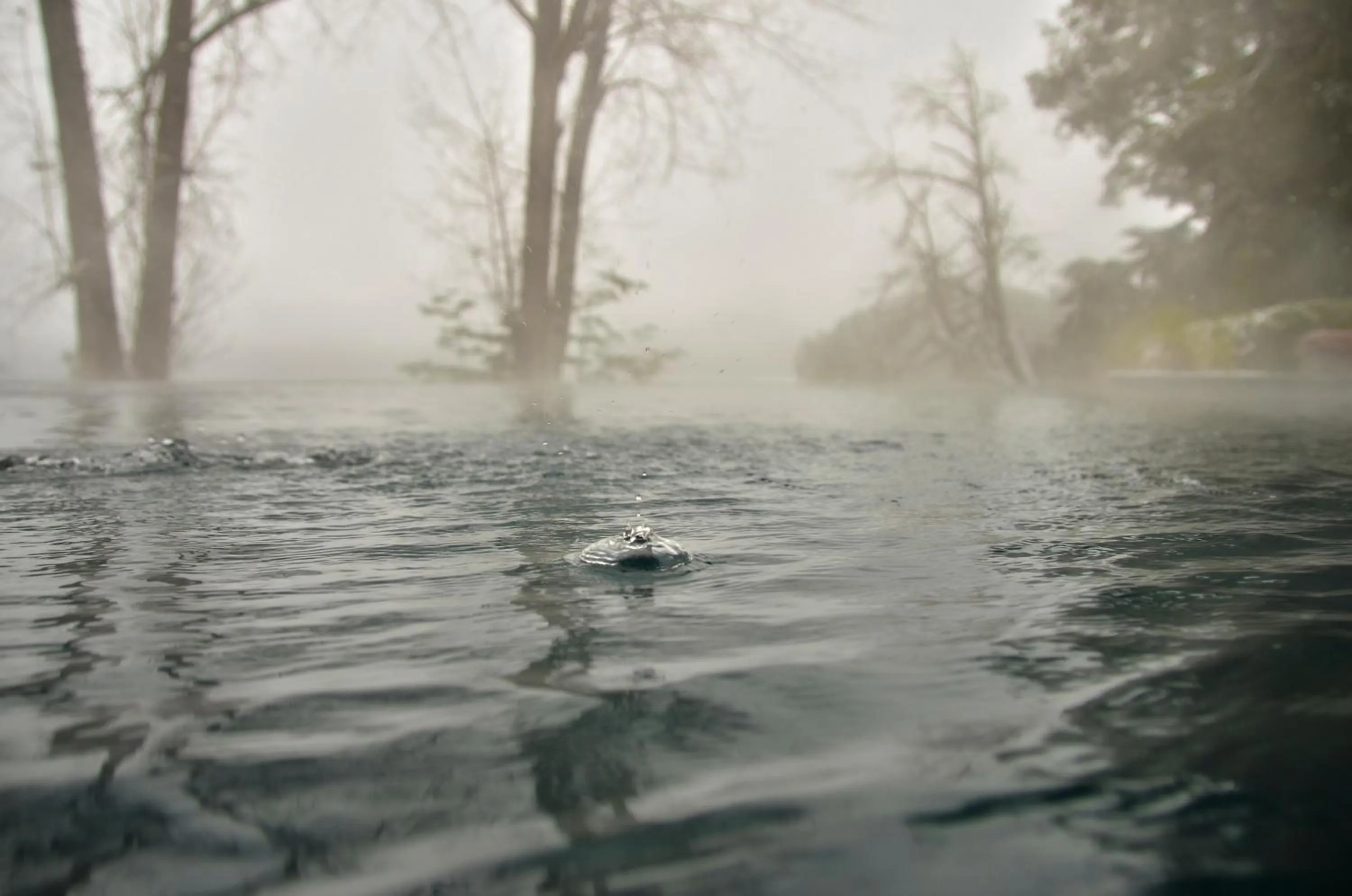 Natural landscape in Las Balsas Relais & Chateaux