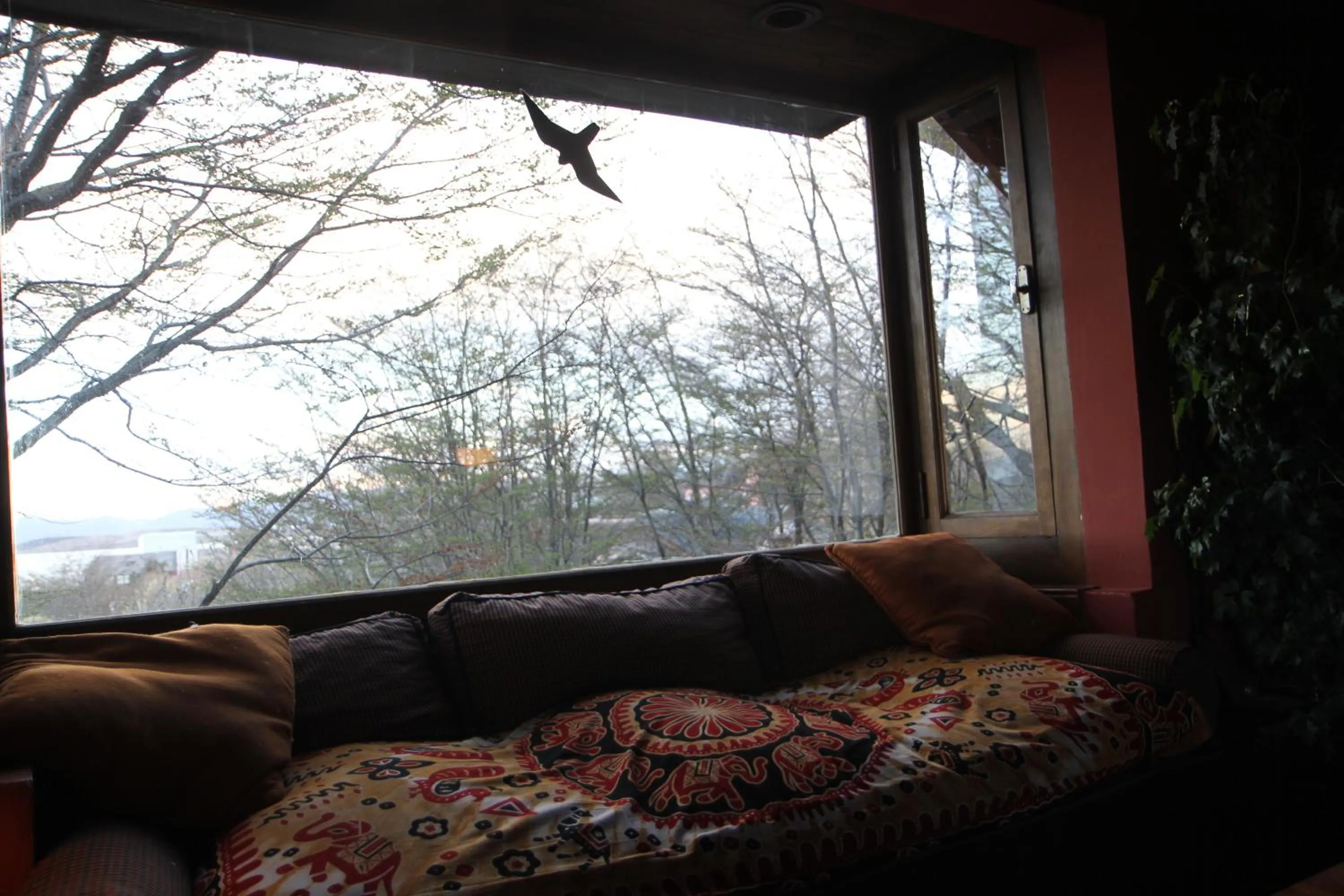 View (from property/room) in Posada Del Fin Del Mundo