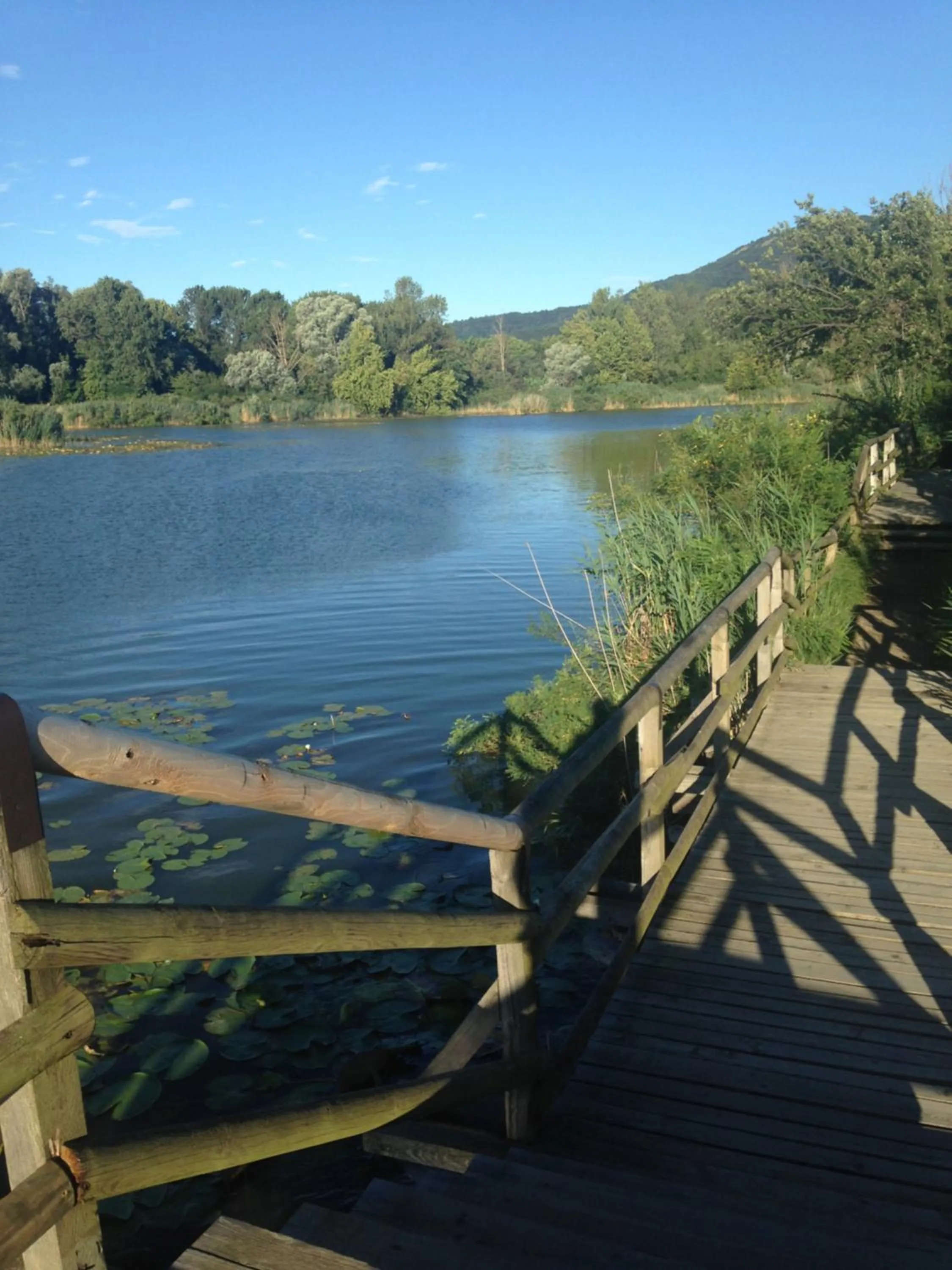 Natural landscape in B & B Da Giusy