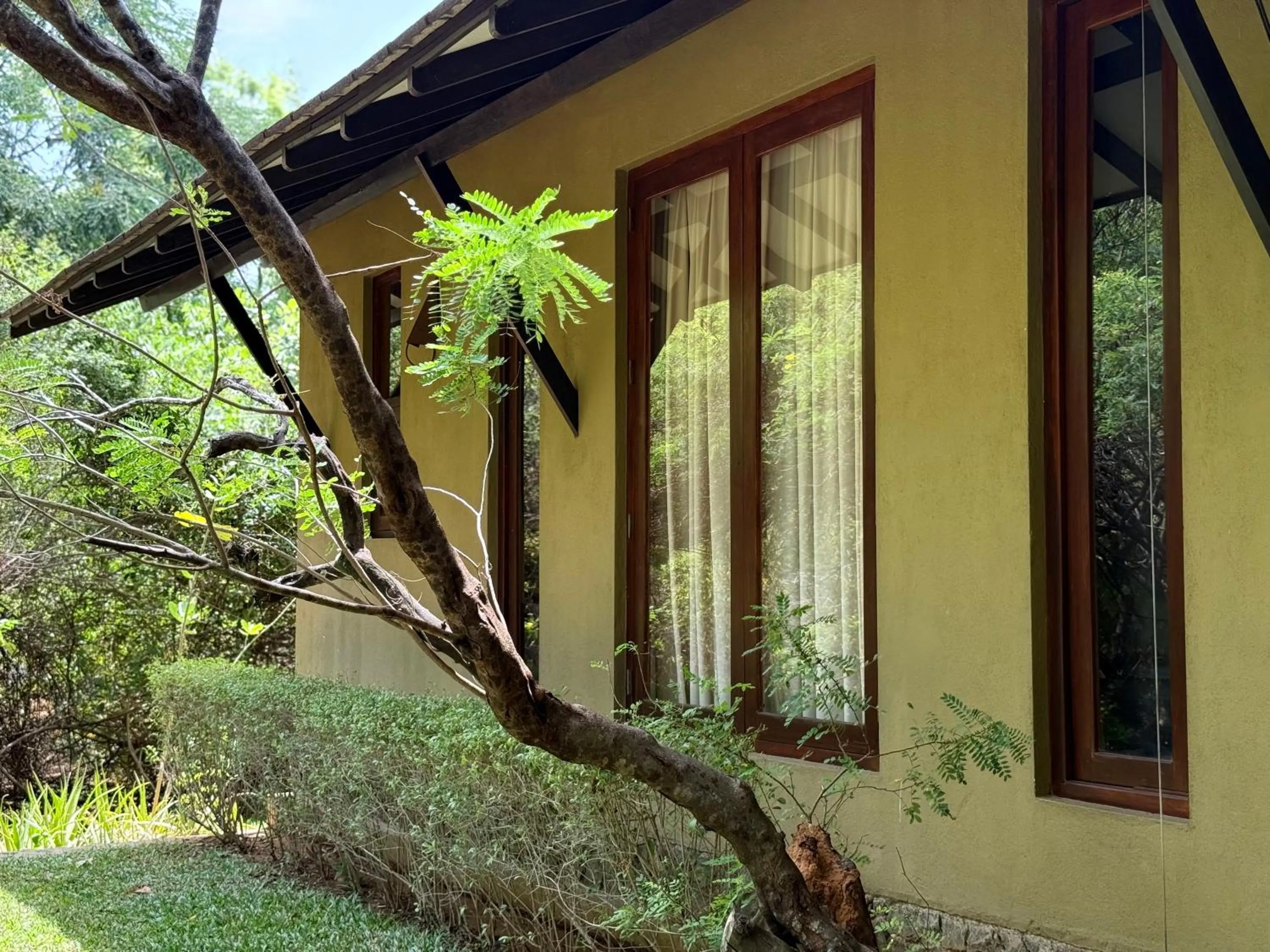 Property building in Nyne Hotels Mayur Lodge - Yala - All Inclusive