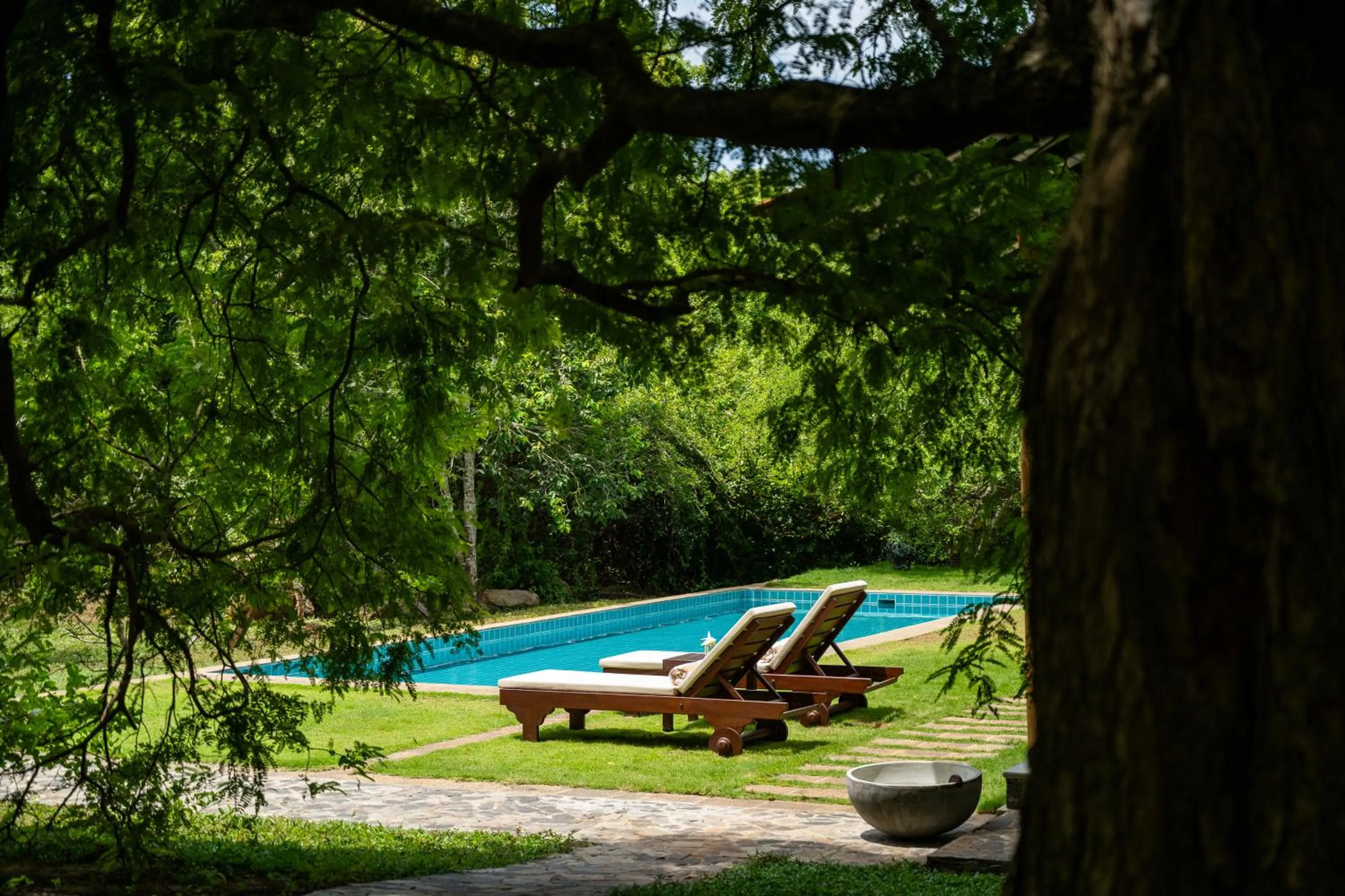 Natural landscape in Nyne Hotels Mayur Lodge - Yala - All Inclusive