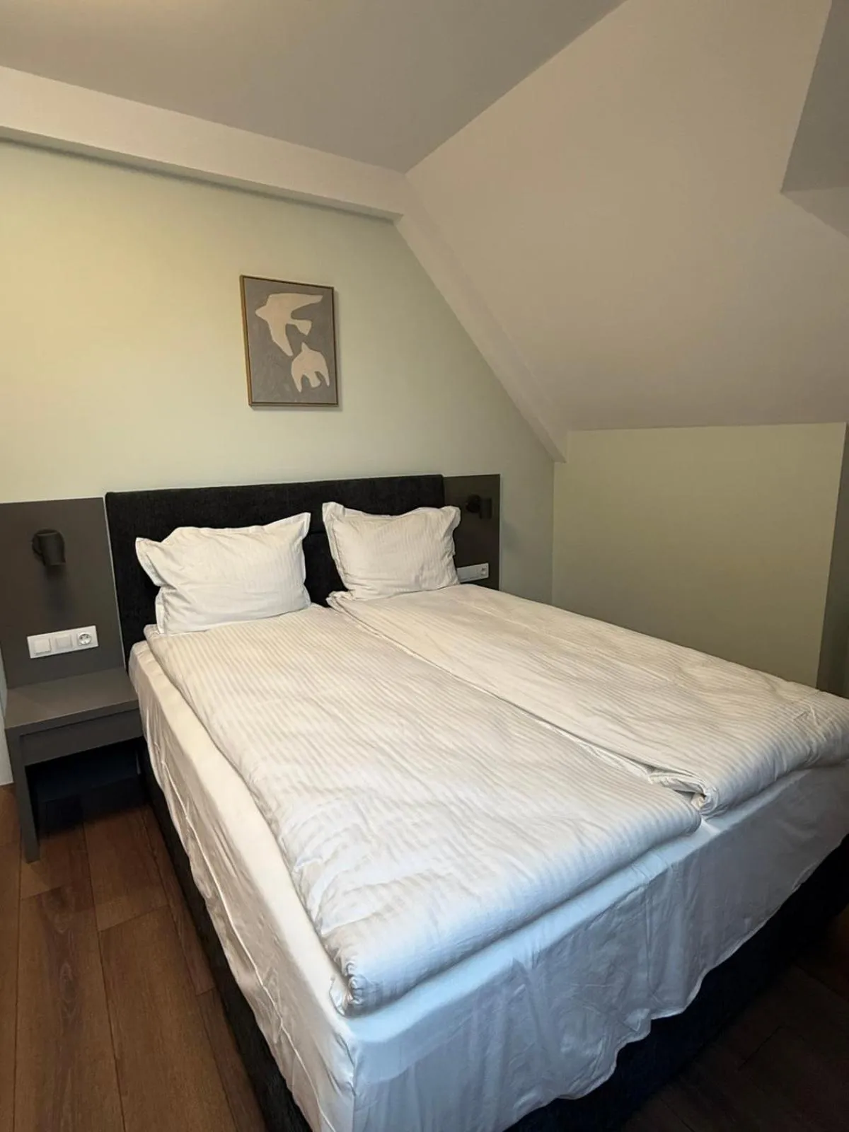 Bed in Alpin Borovets, Алпин Боровец