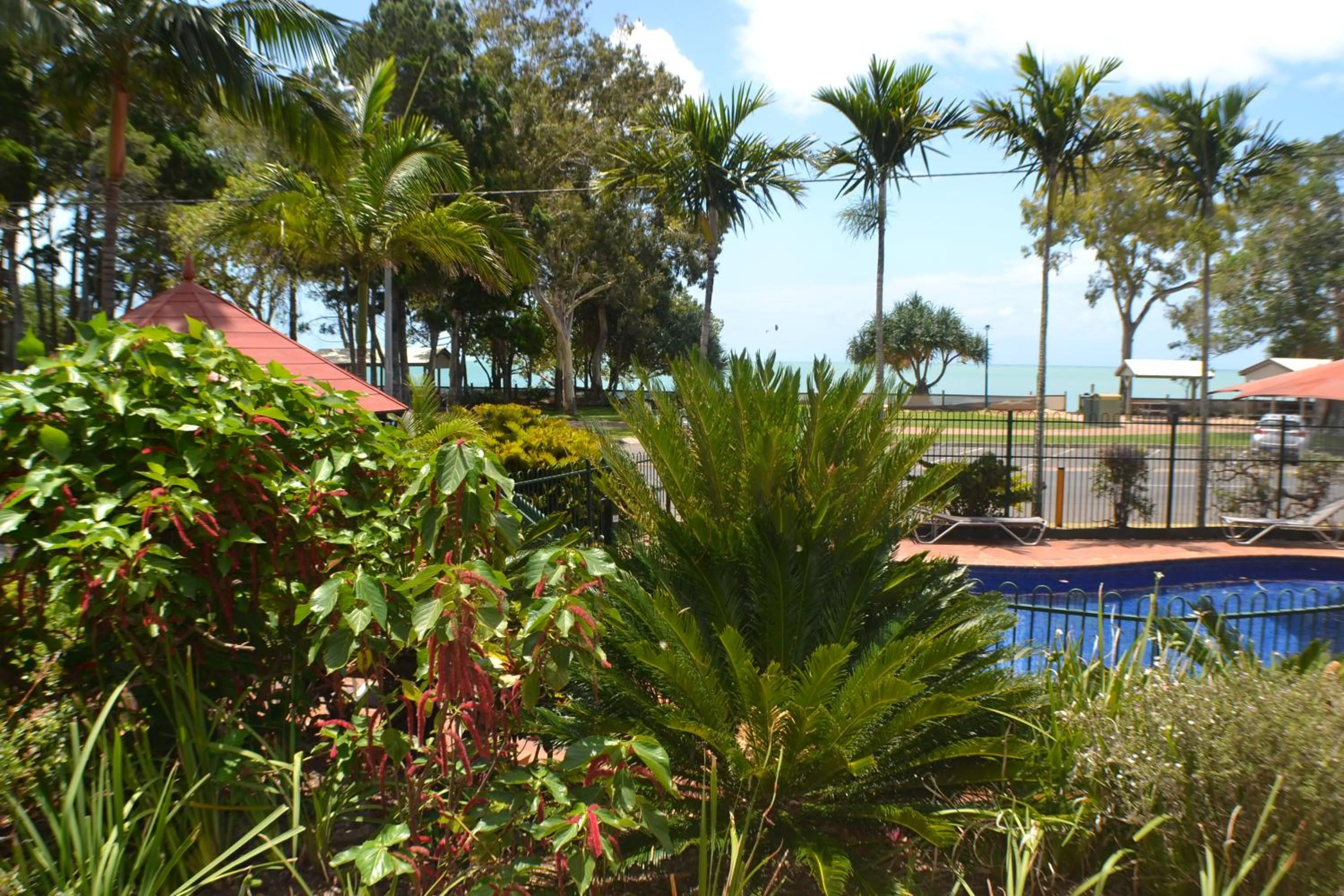 Garden in Charlton on The Esplanade