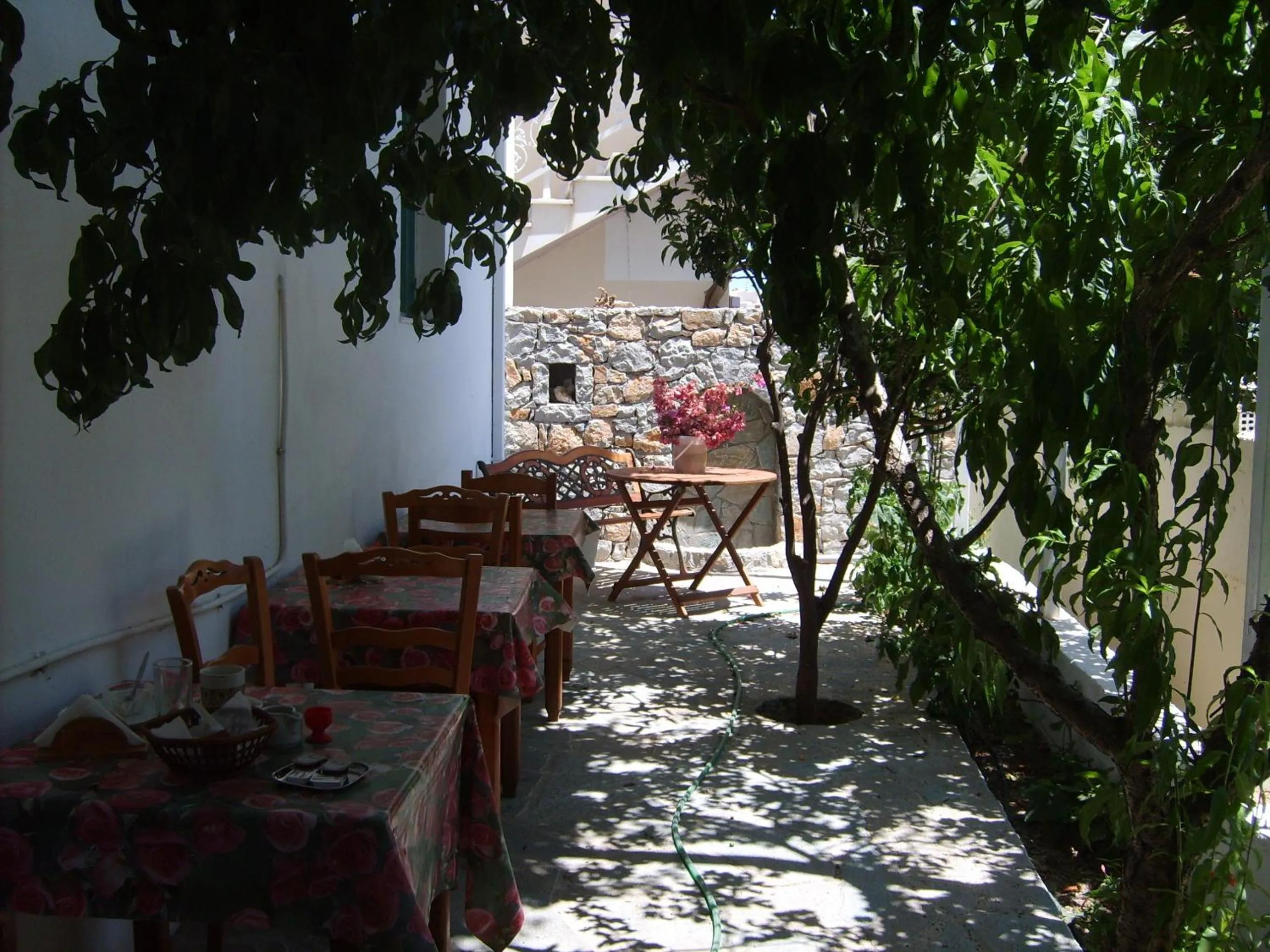 Garden in Nikos Hotel