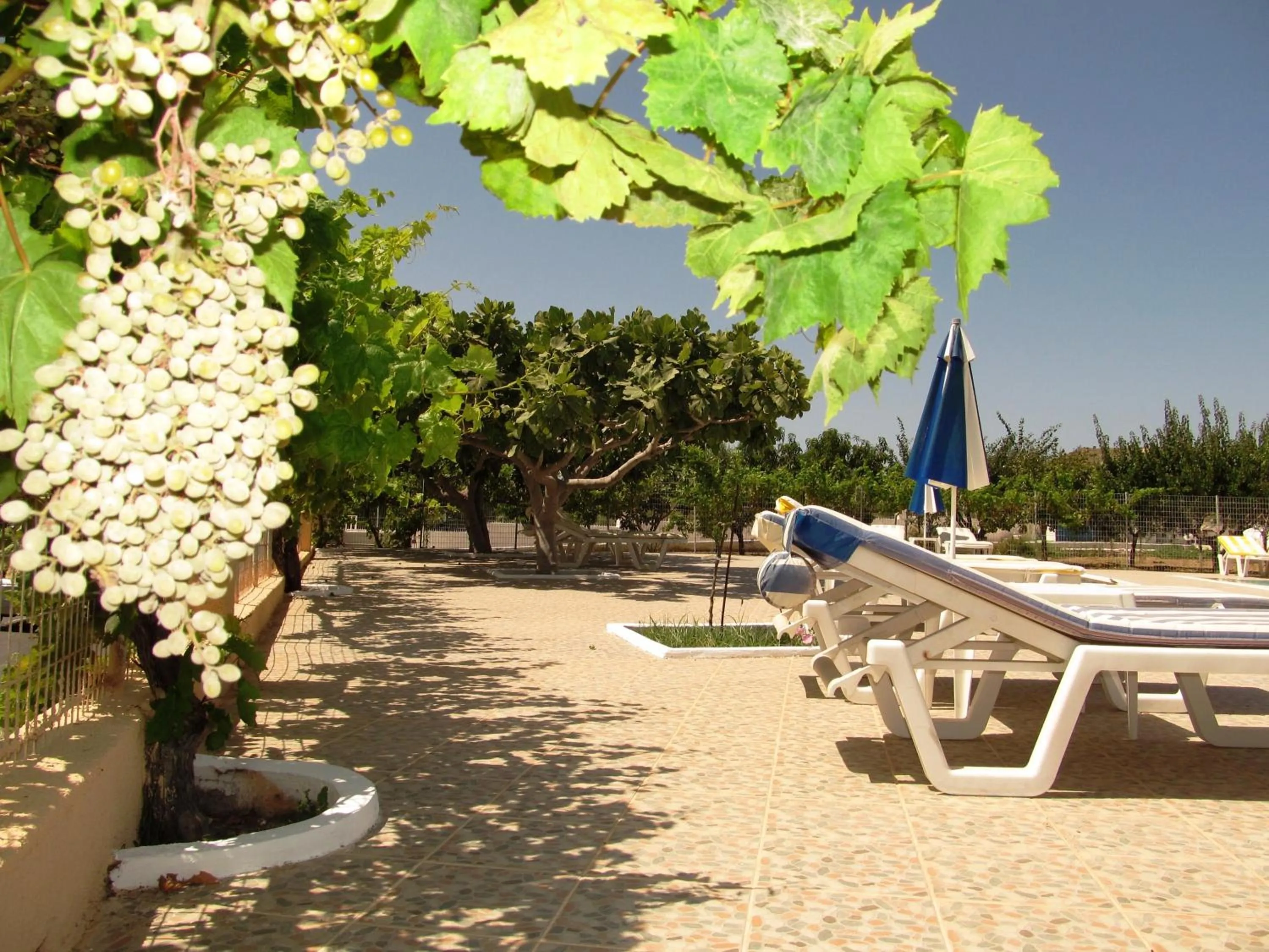 Facade/entrance in Paraschos Studios Kos