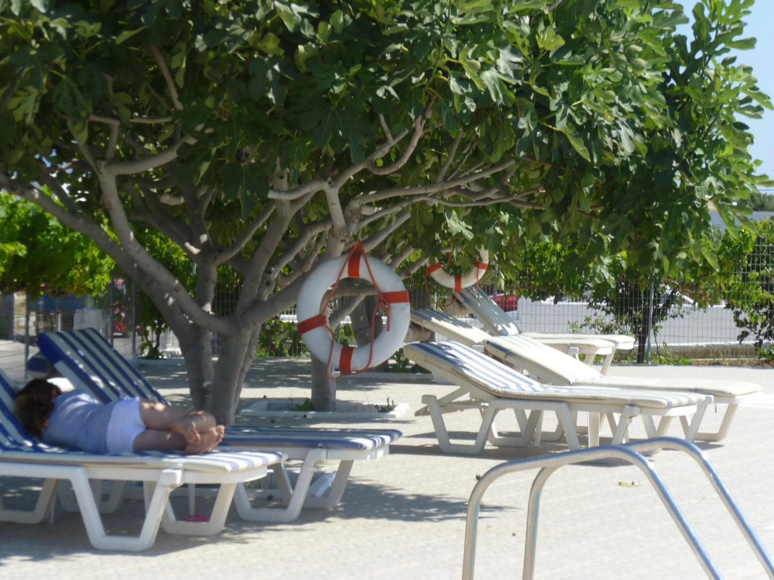 Swimming pool in Paraschos Studios Kos