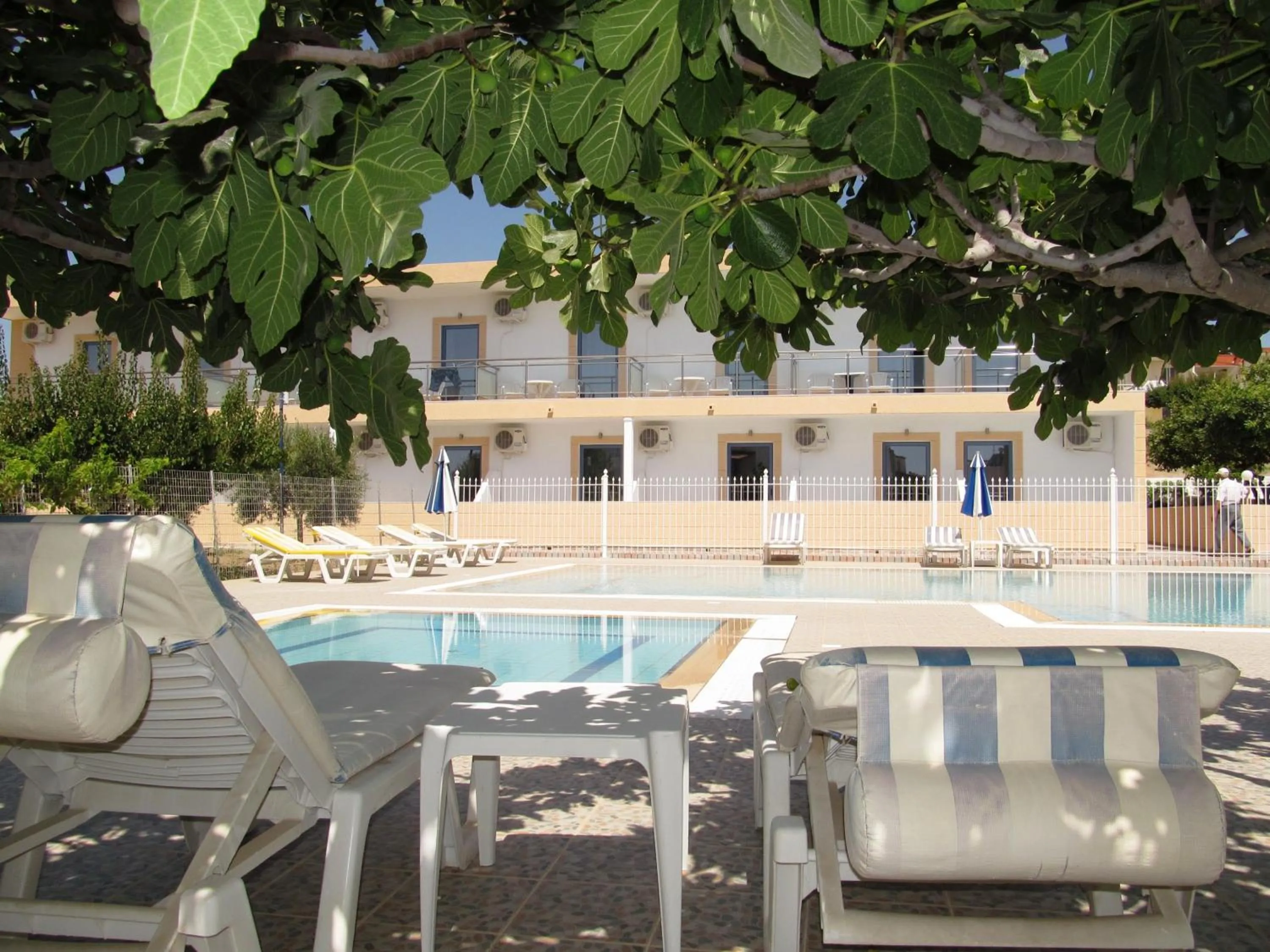 Swimming pool in Paraschos Studios Kos