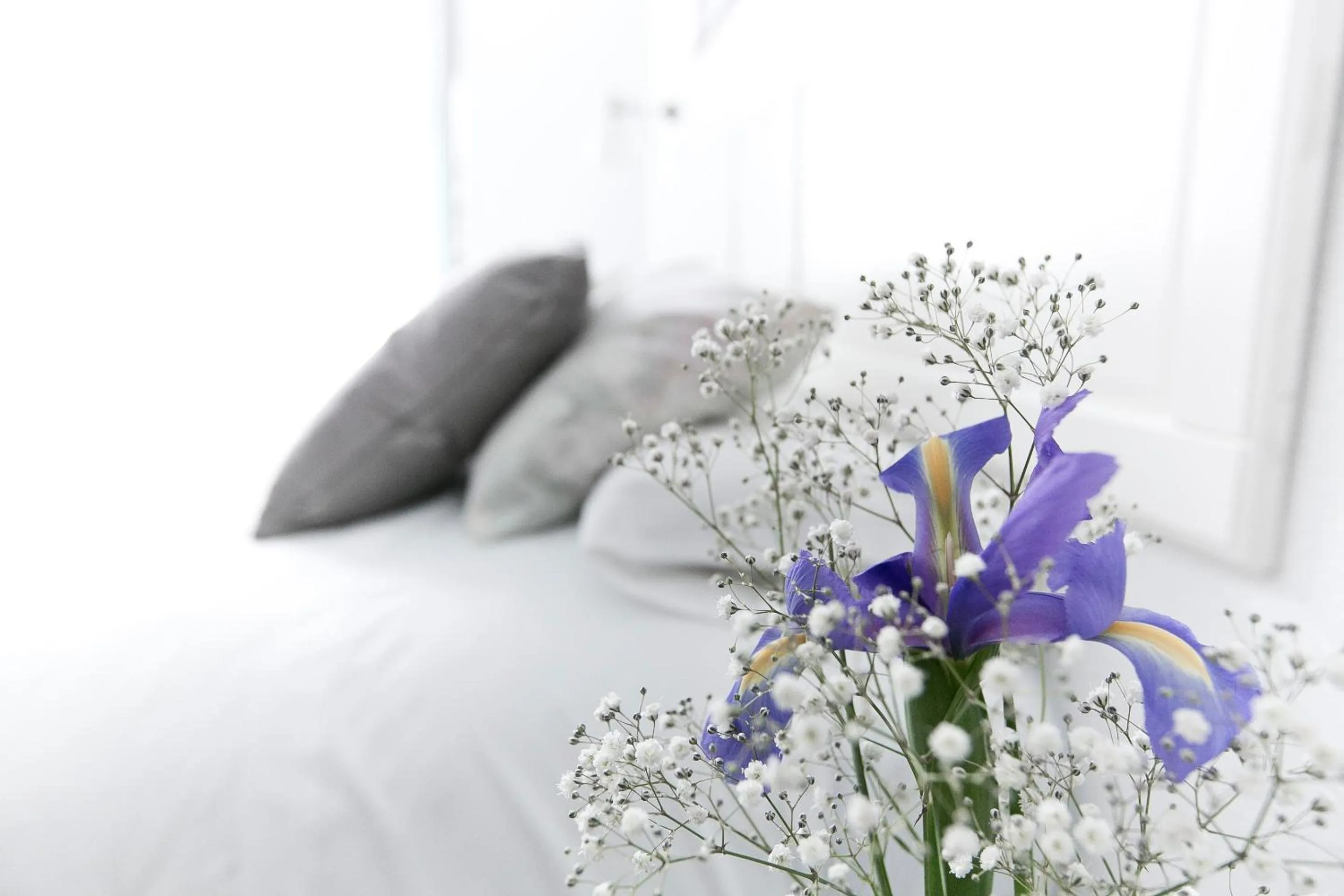 Decorative detail, Bed in Vázquez de Mella Gran Vía