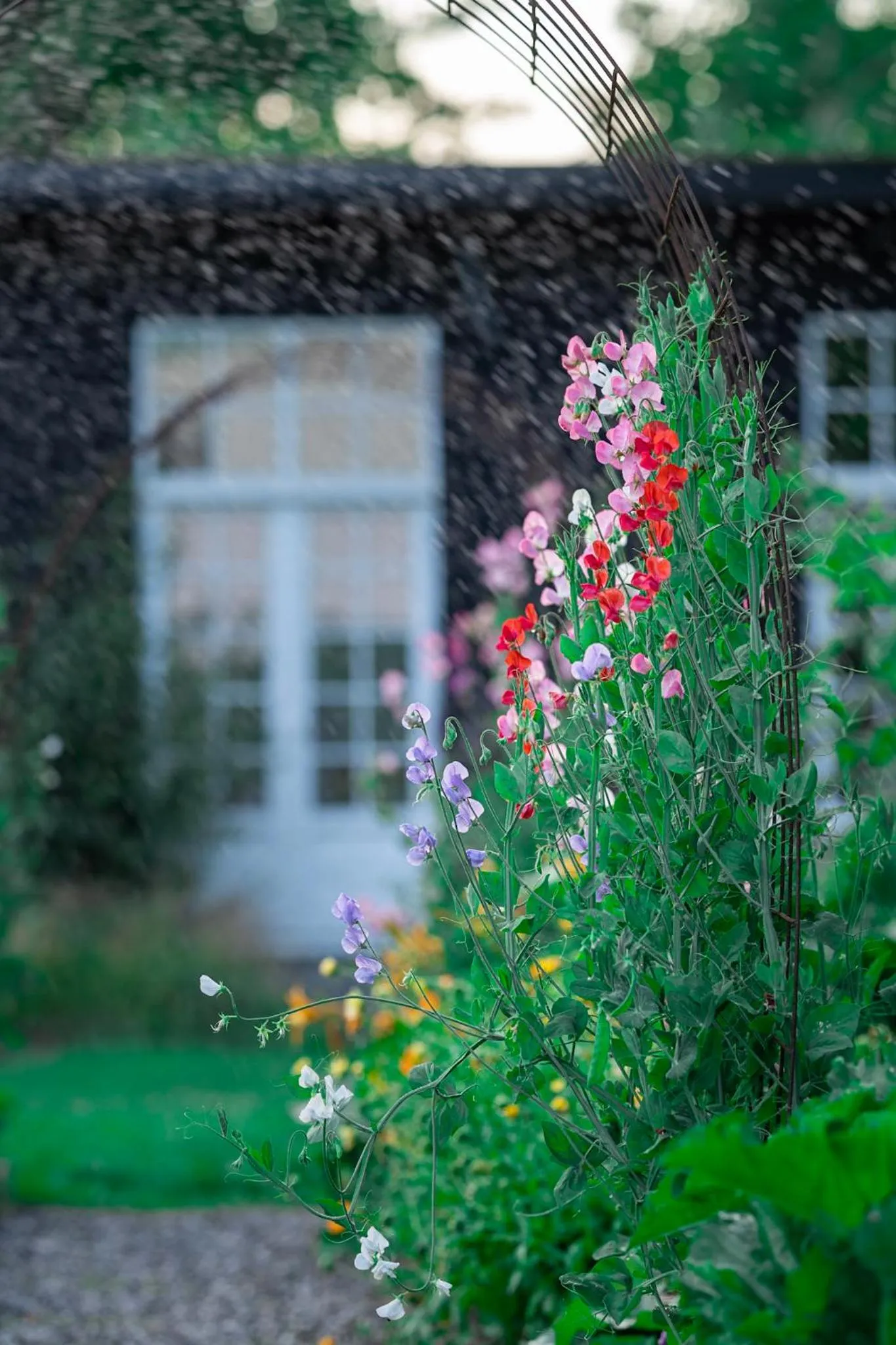 Garden in Villa Gransholm