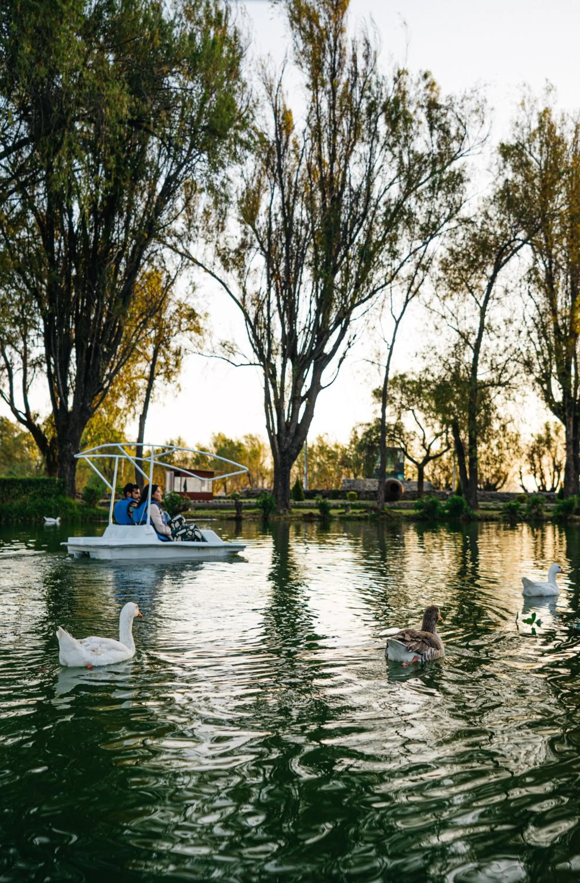 Lake view in BTH Hotel Arequipa Lake