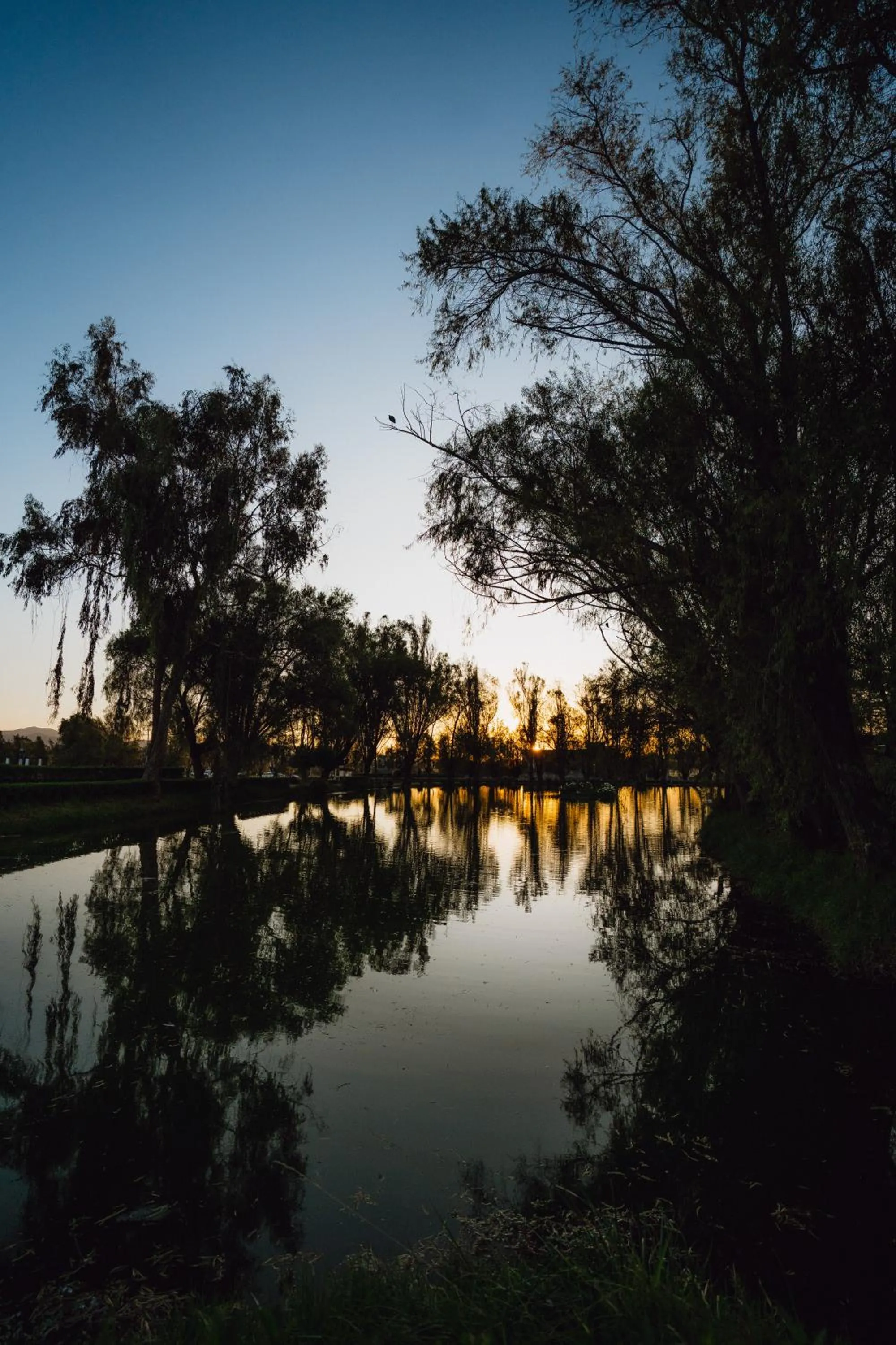 Lake view in BTH Hotel Arequipa Lake