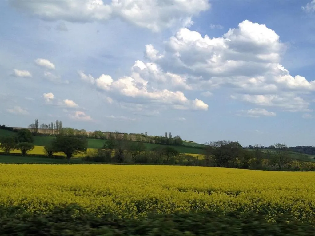 View (from property/room) in Castle Lodge Wilton